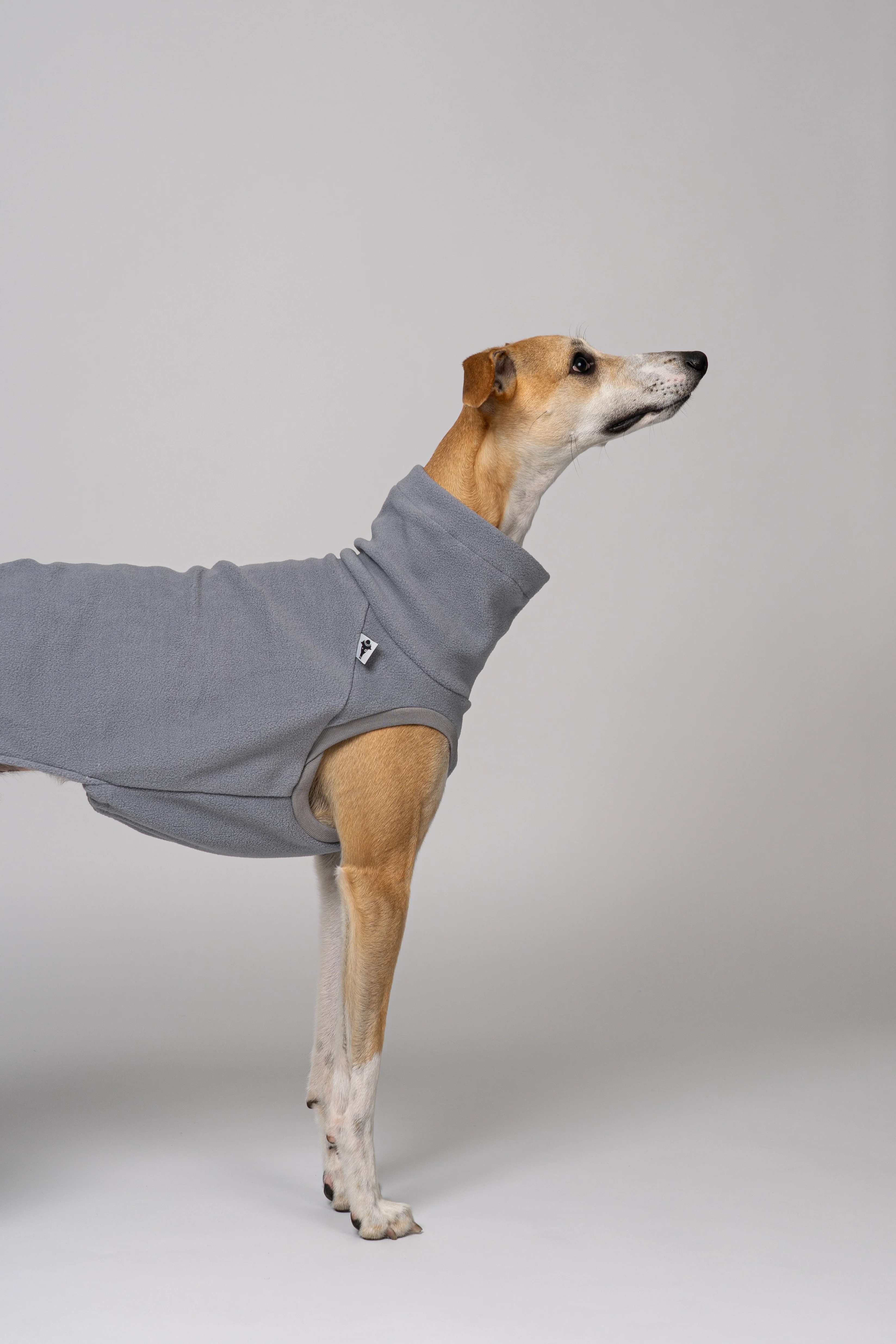 FLEECE SHIRT Windhund Light Grey - Image 4