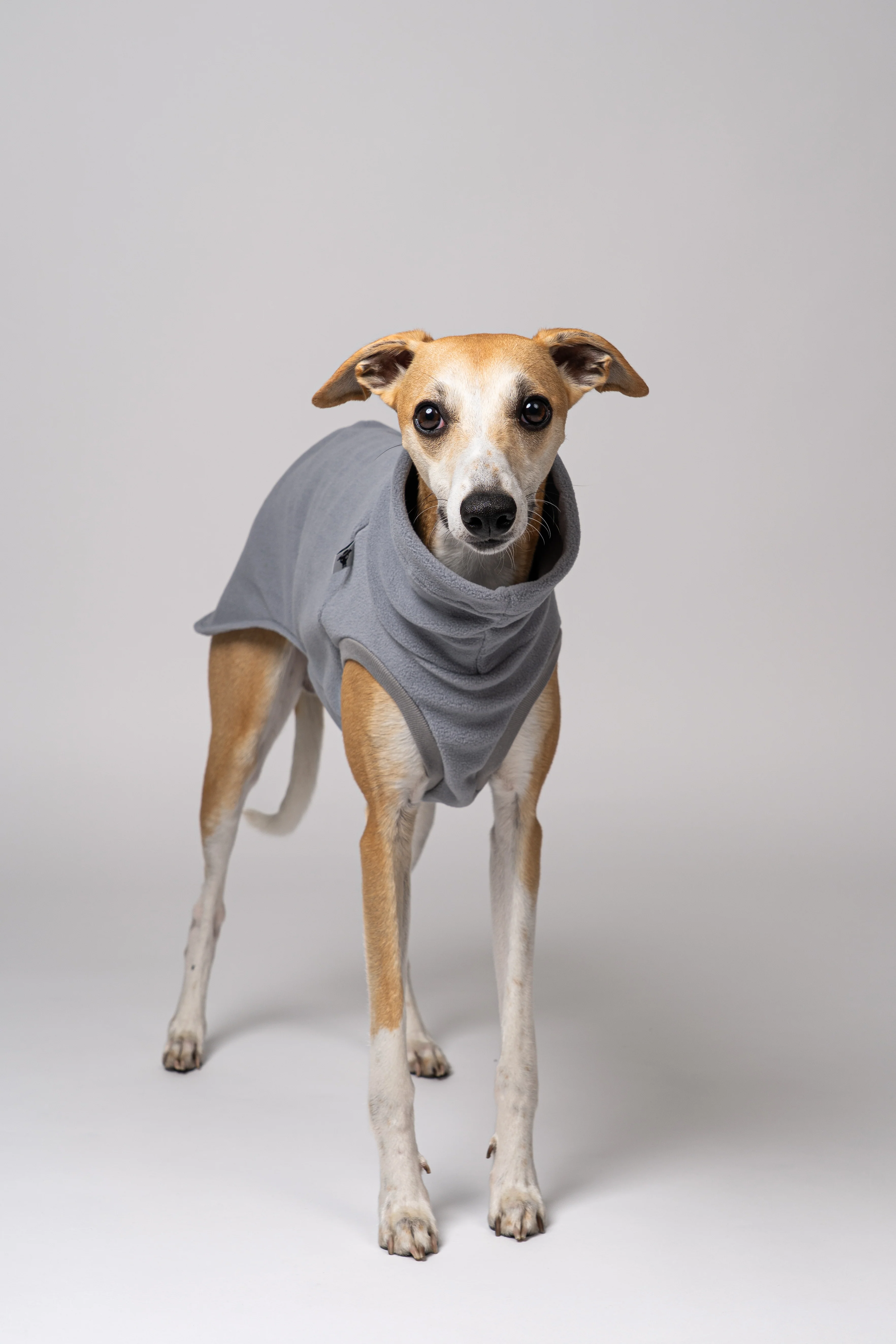 FLEECE SHIRT Windhund Light Grey - Image 7