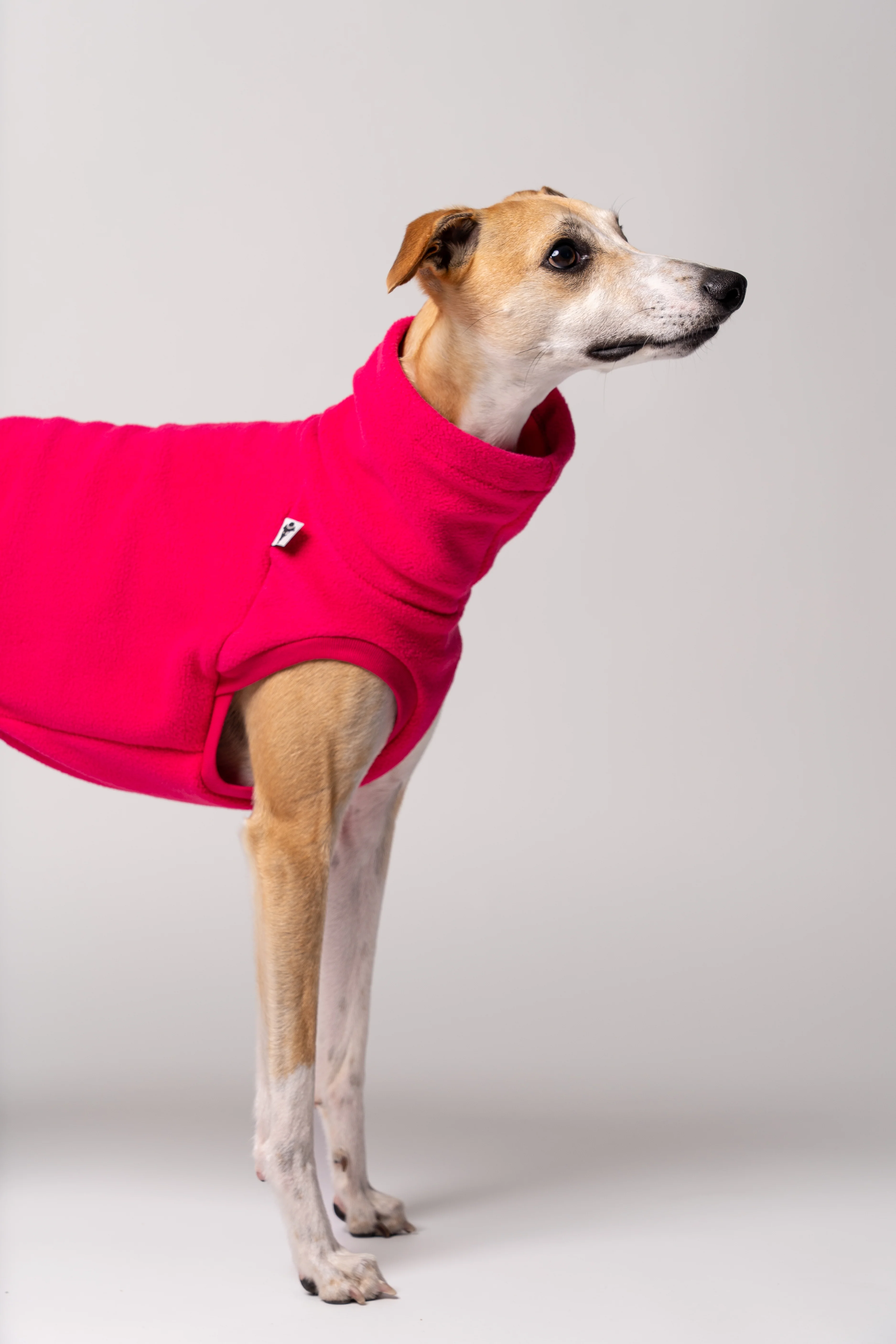 FLEECE SHIRT Windhund Magenta - Image 4