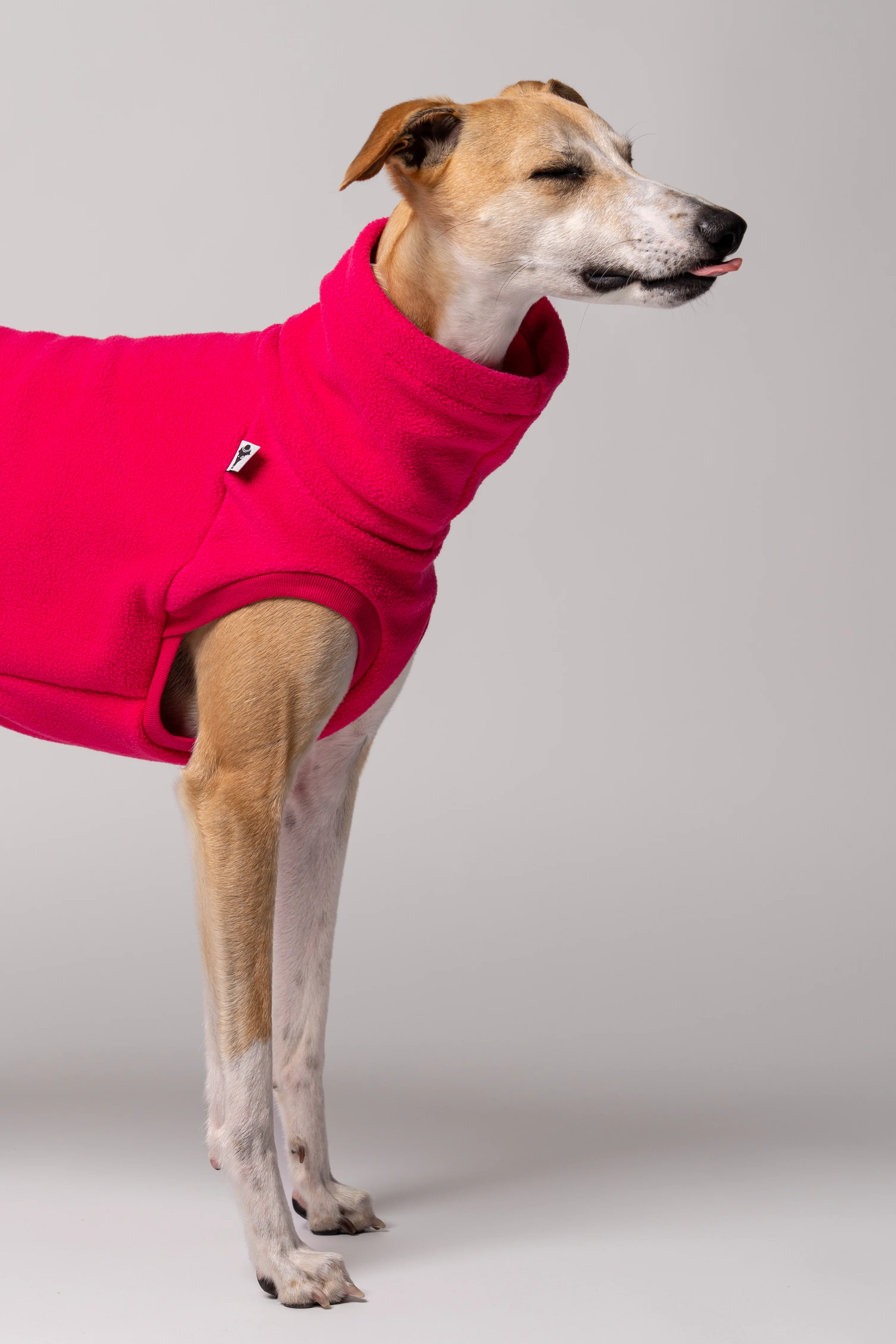 FLEECE SHIRT Windhund Magenta - Image 5