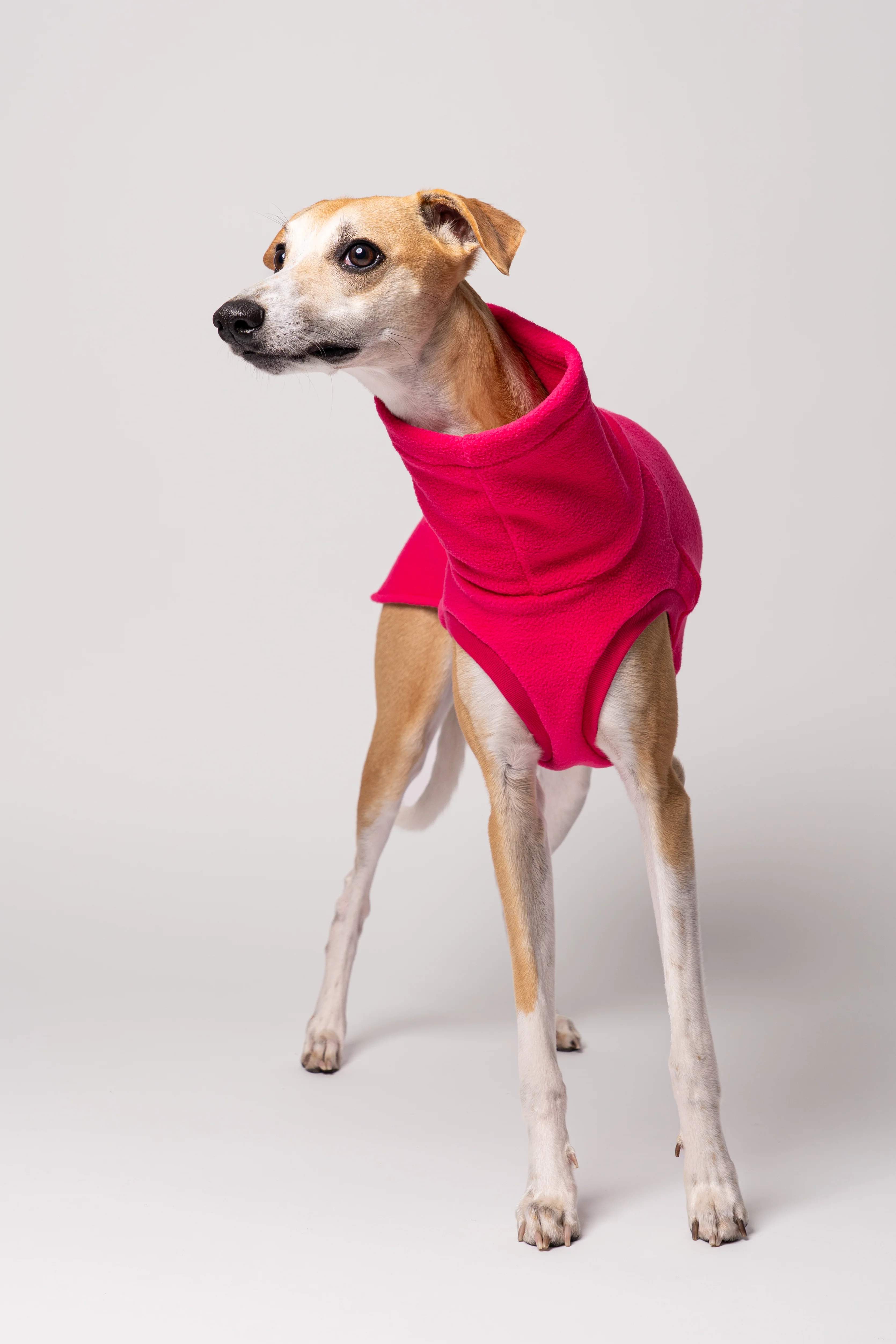 FLEECE SHIRT Windhund Magenta - Image 6