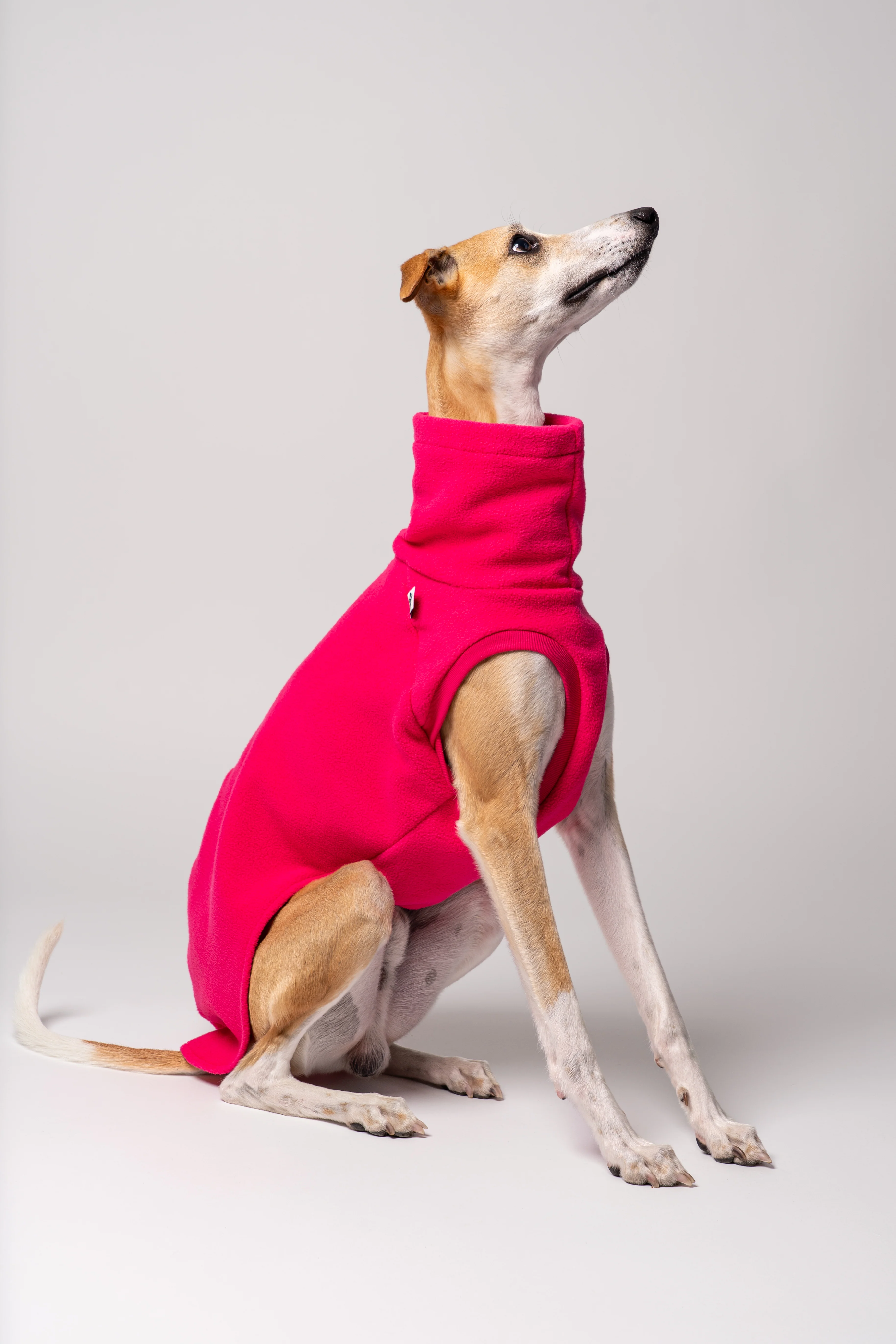 FLEECE SHIRT Windhund Magenta - Image 7