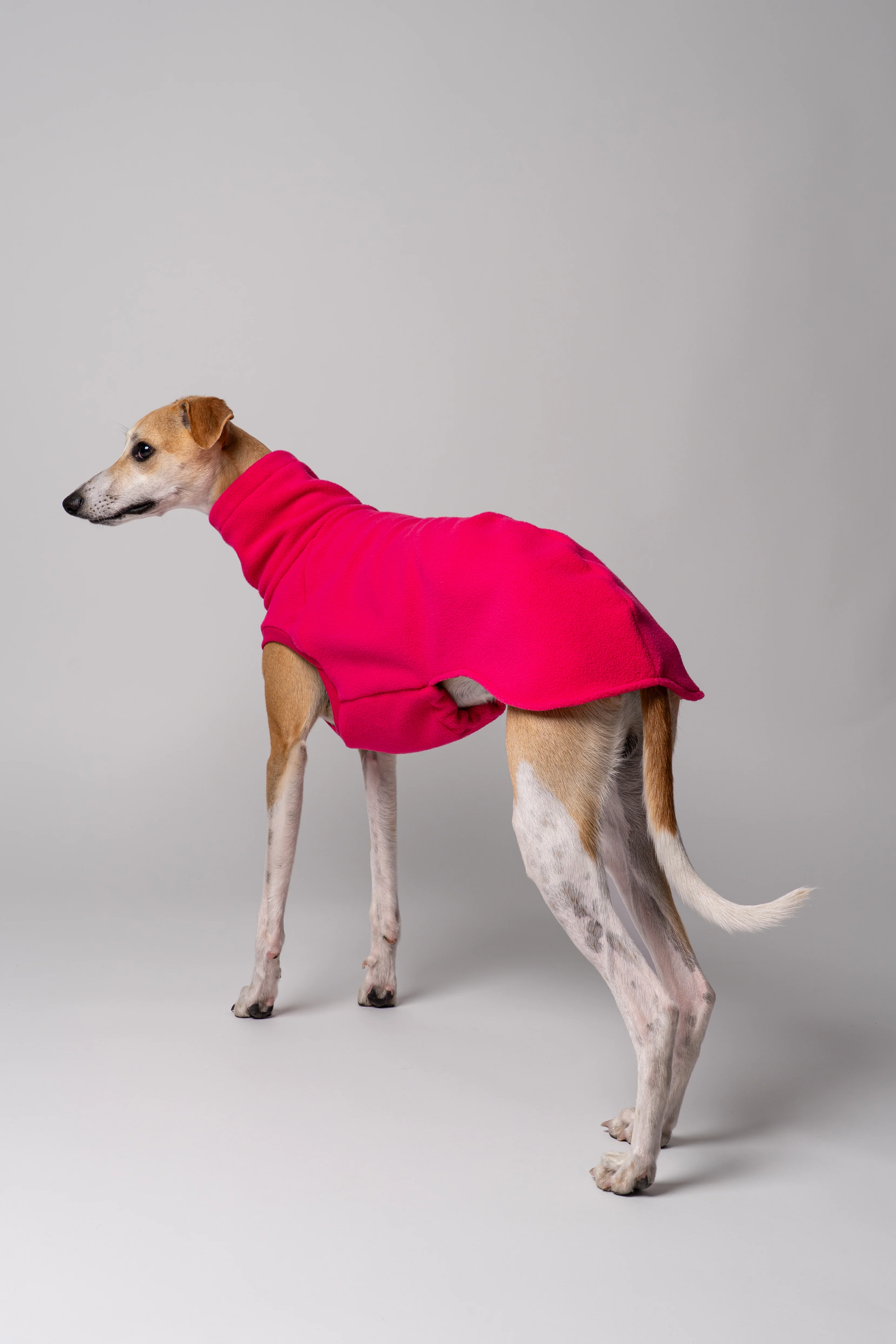 FLEECE SHIRT Windhund Magenta - Image 8