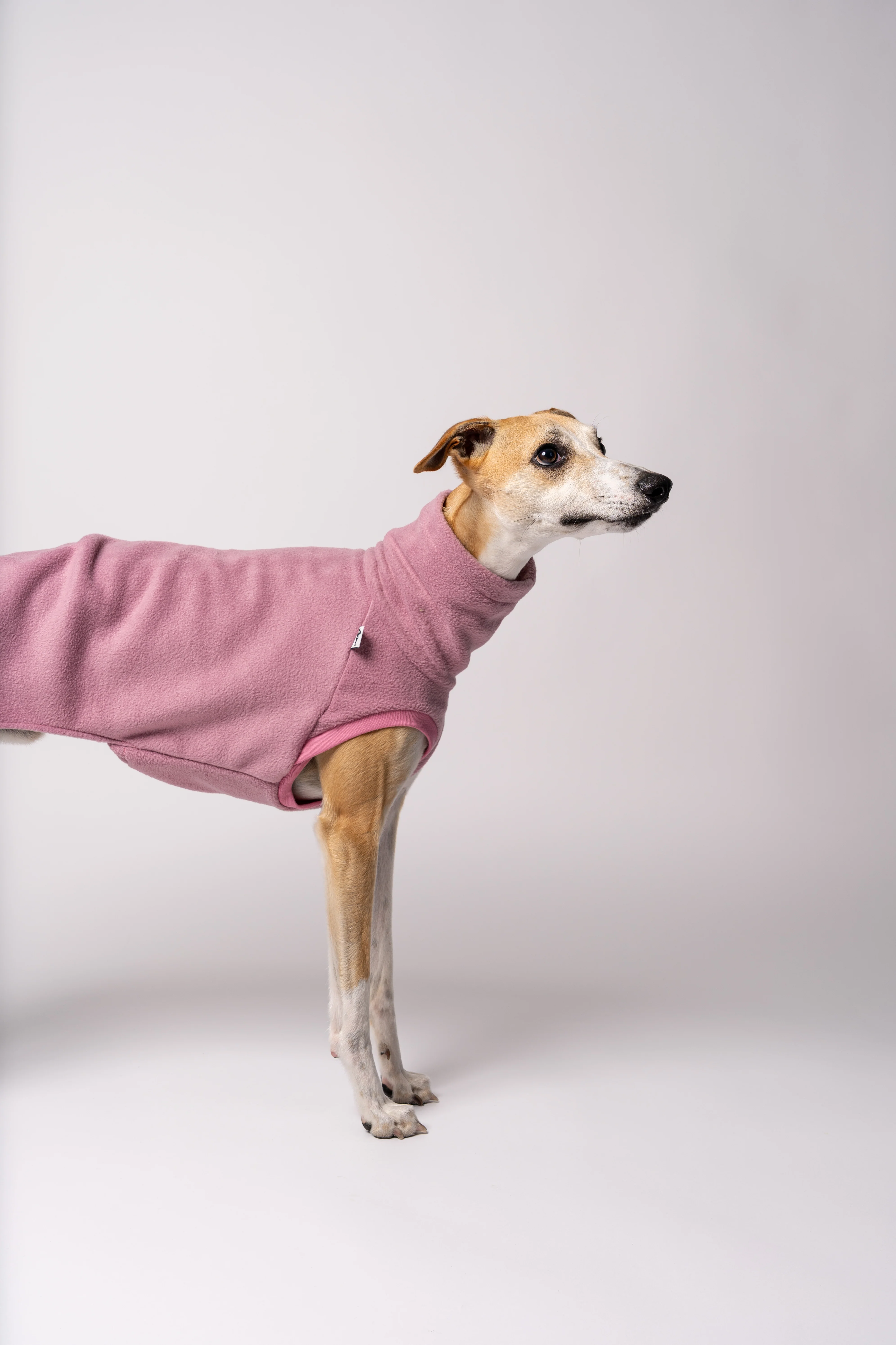FLEECE SHIRT Windhund Mulberry - Image 4