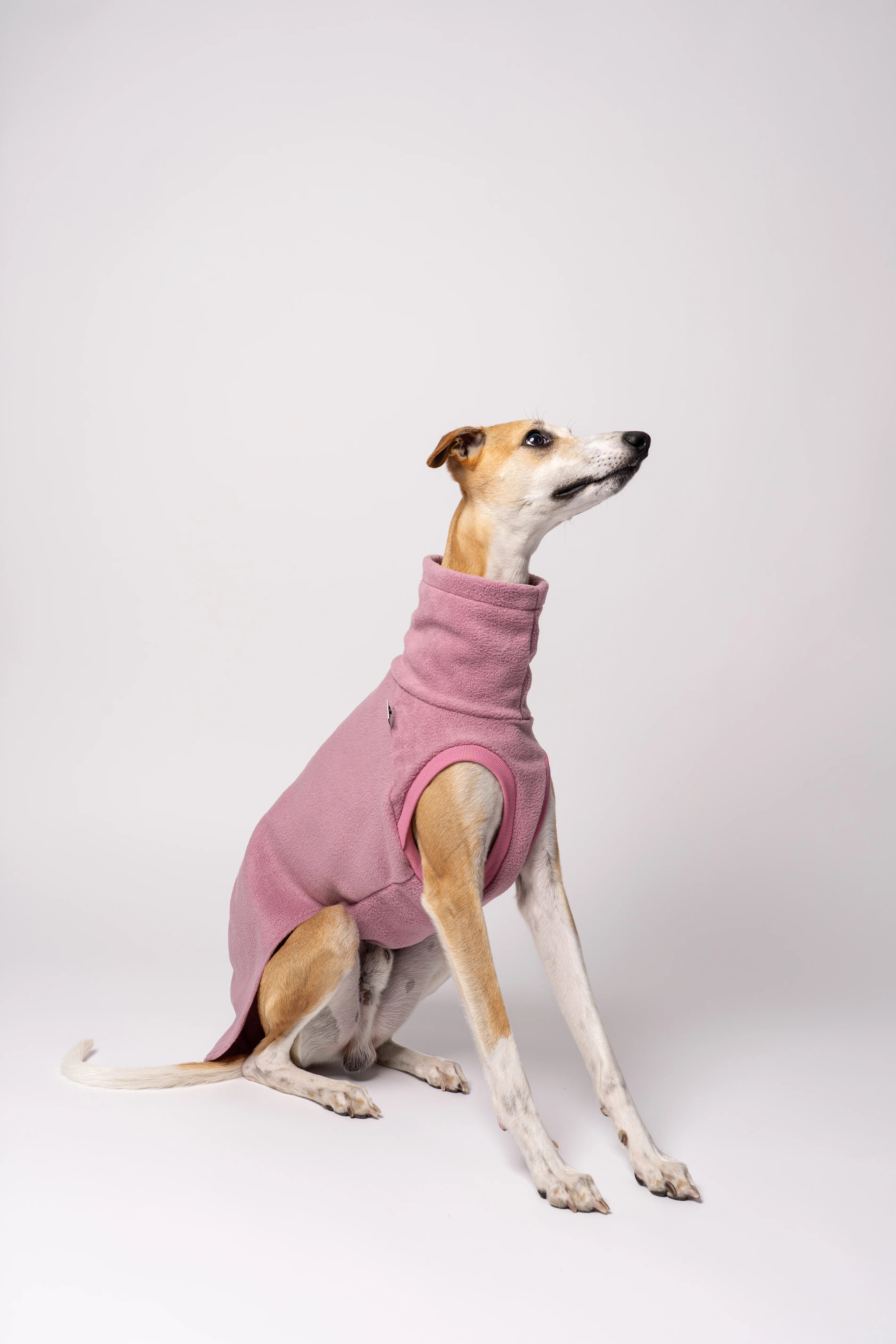 FLEECE SHIRT Windhund Mulberry - Image 5