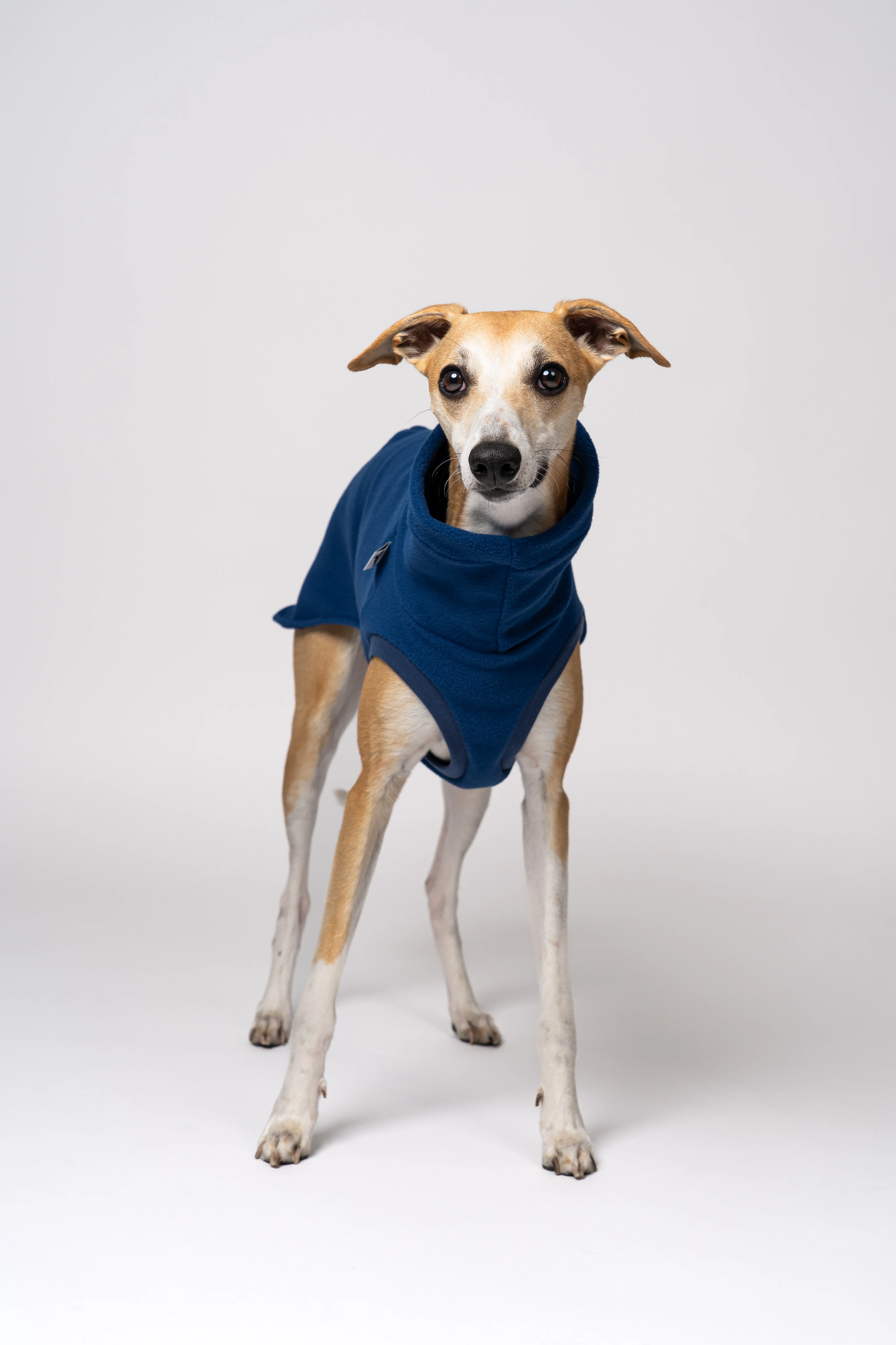 FLEECE SHIRT Windhund Navy - Image 5