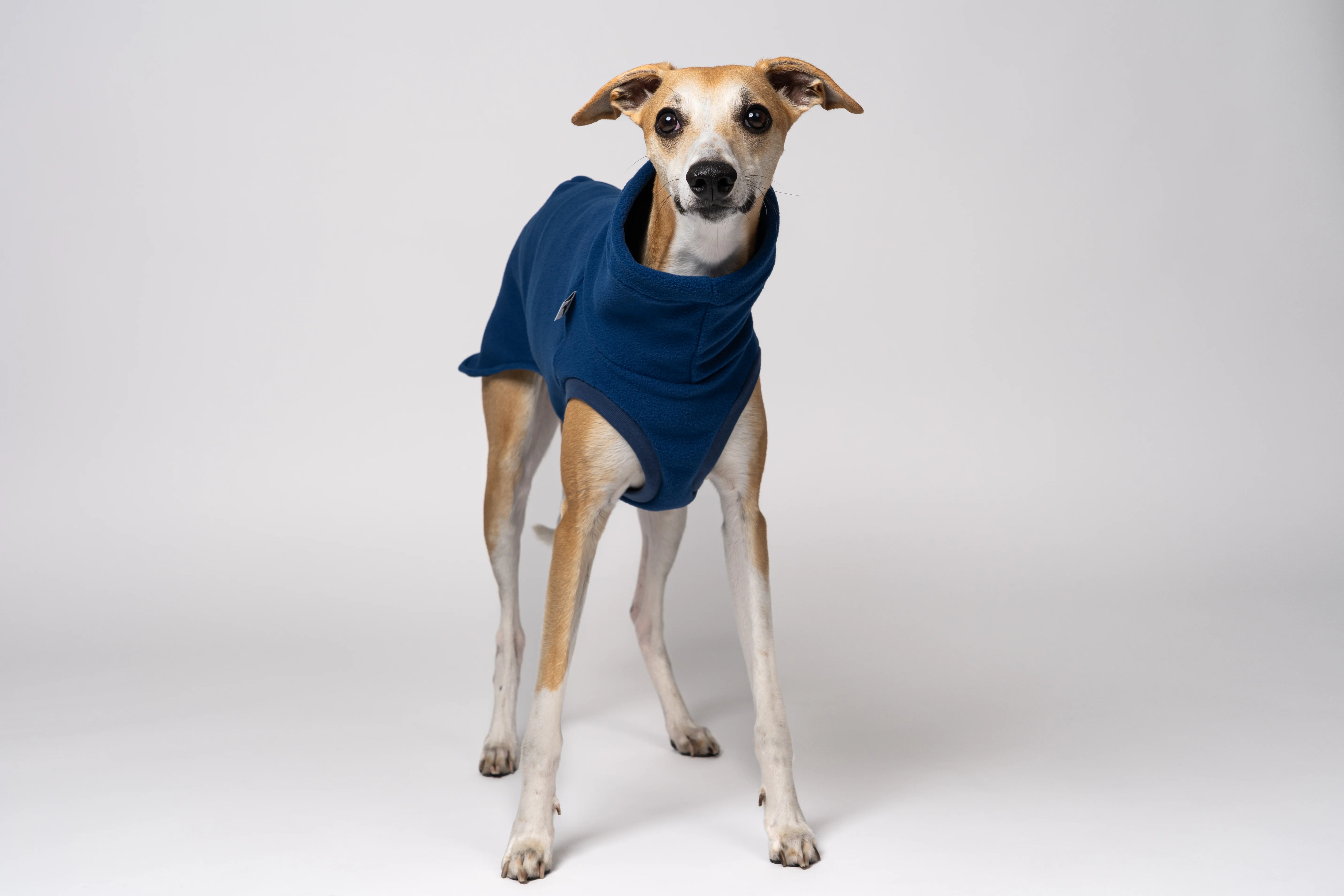 FLEECE SHIRT Windhund Navy - Image 6