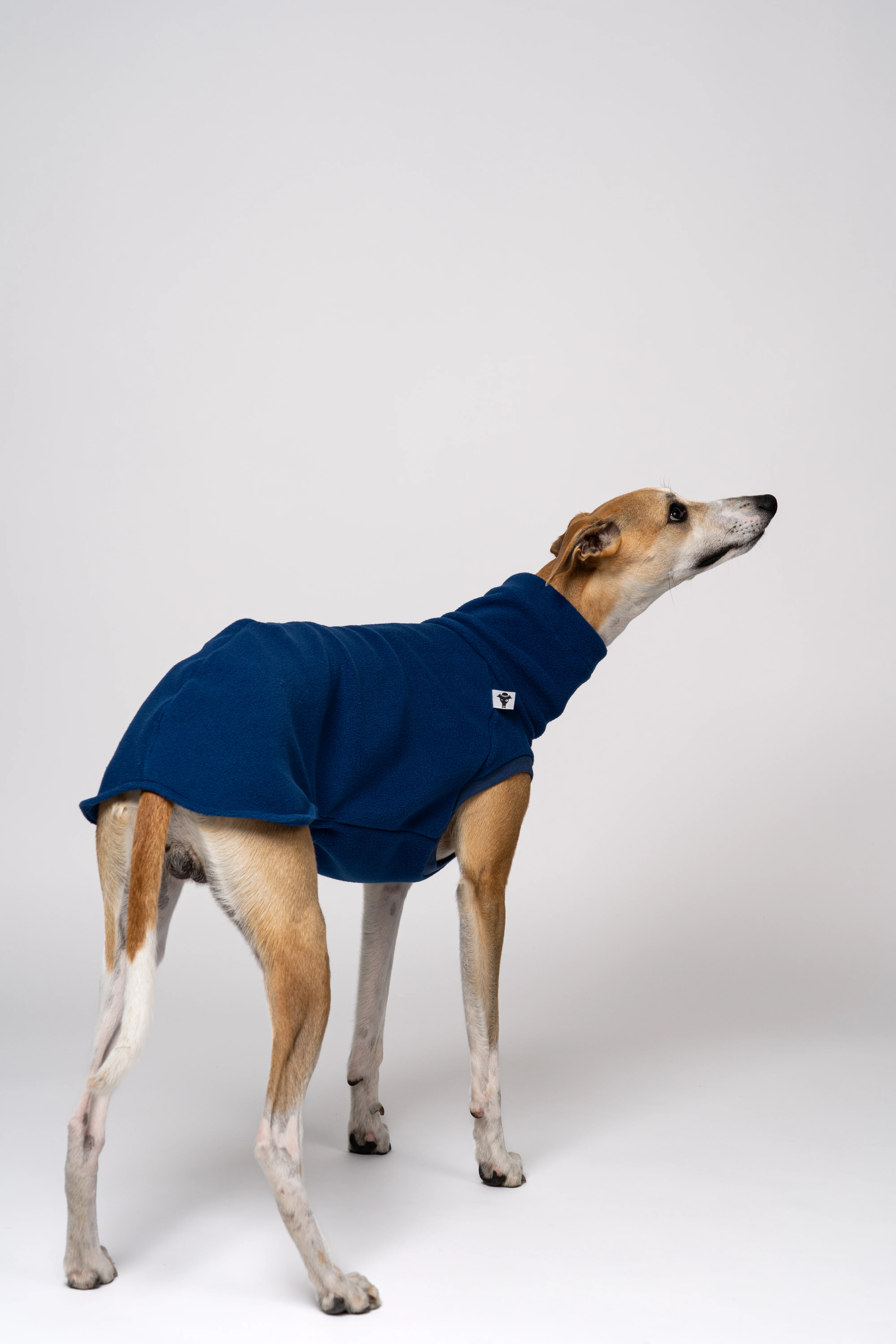 FLEECE SHIRT Windhund Navy - Image 7