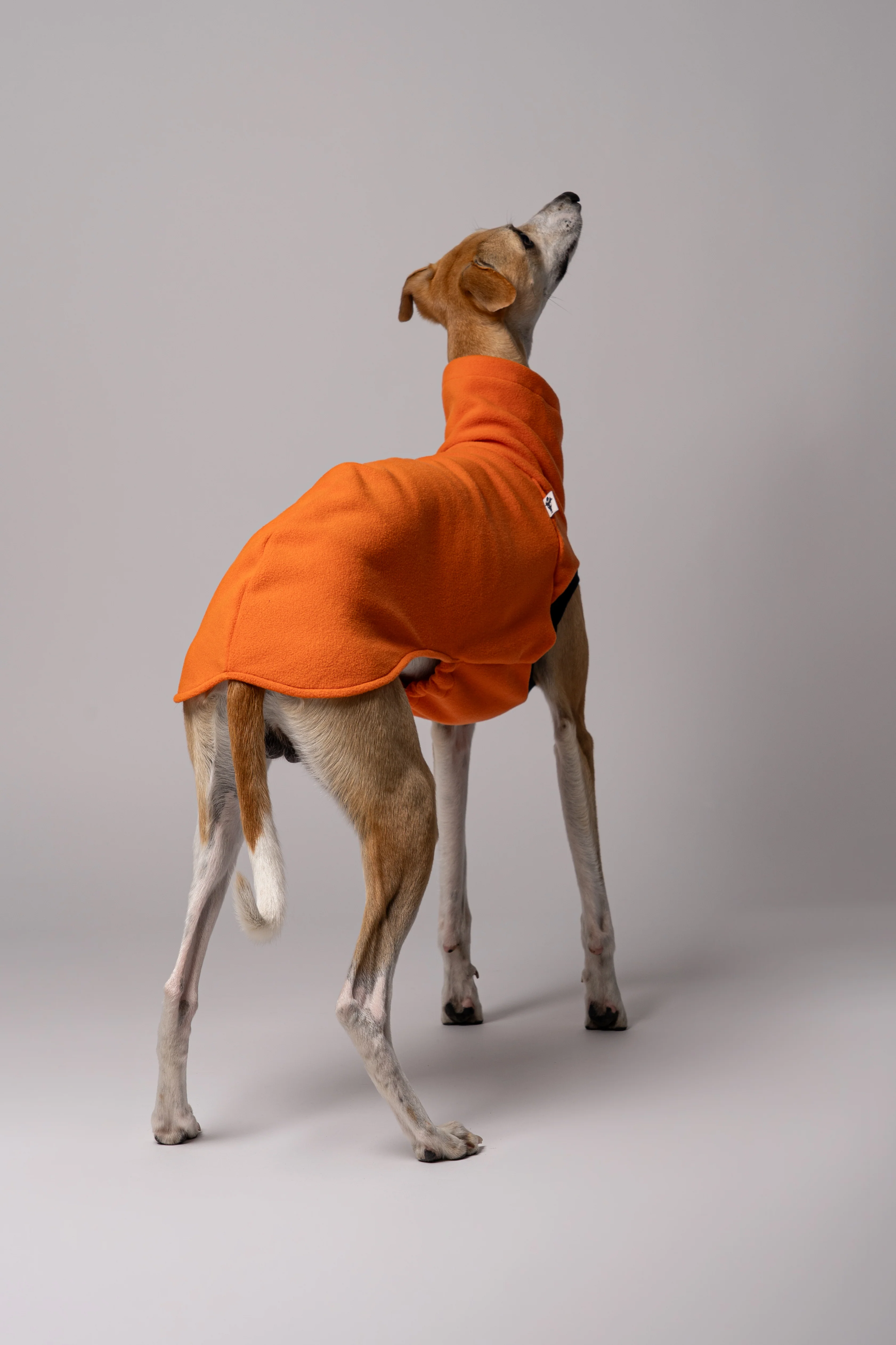 FLEECE SHIRT Windhund Orange - Image 4