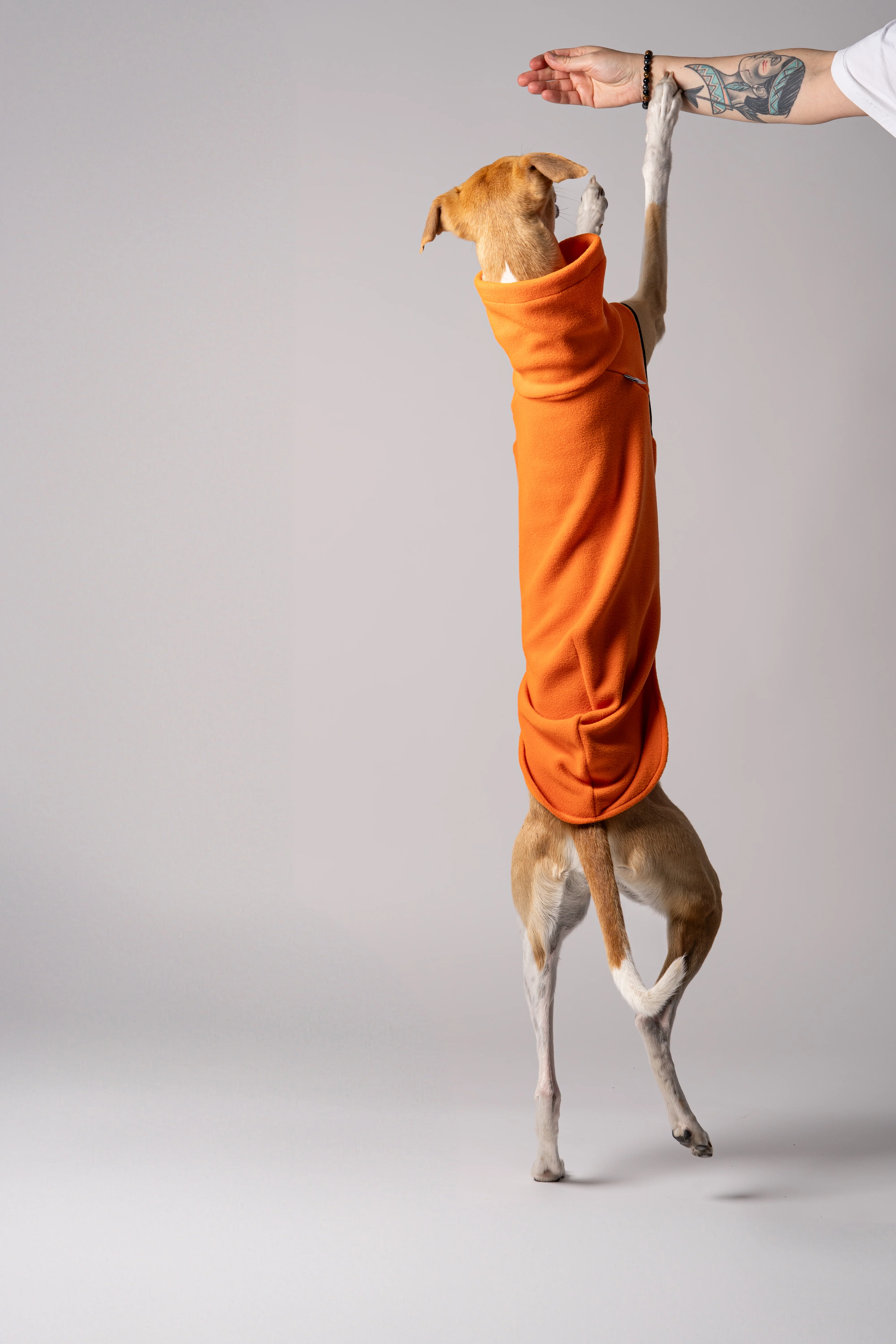 FLEECE SHIRT Windhund Orange - Image 5