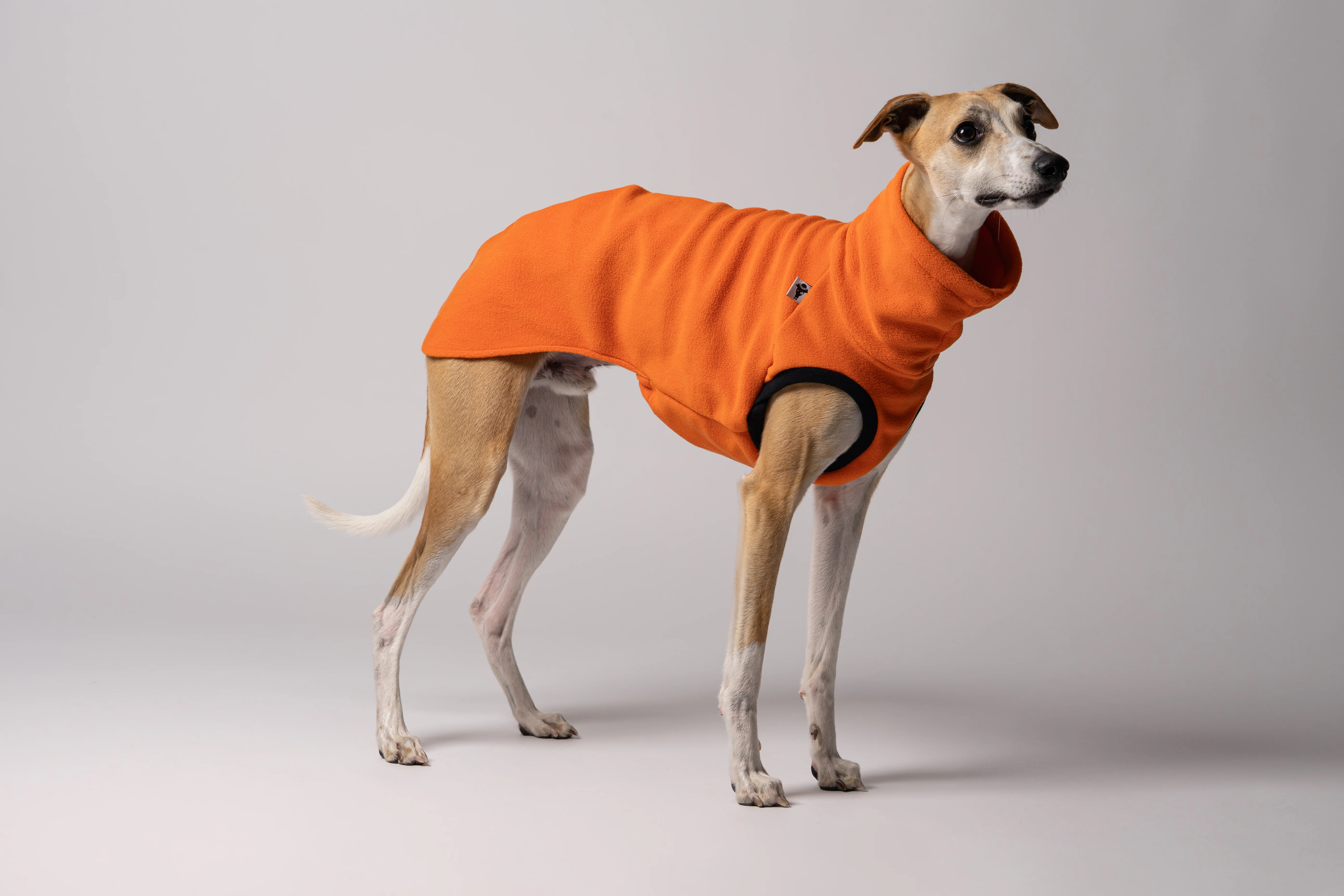 FLEECE SHIRT Windhund Orange - Image 6
