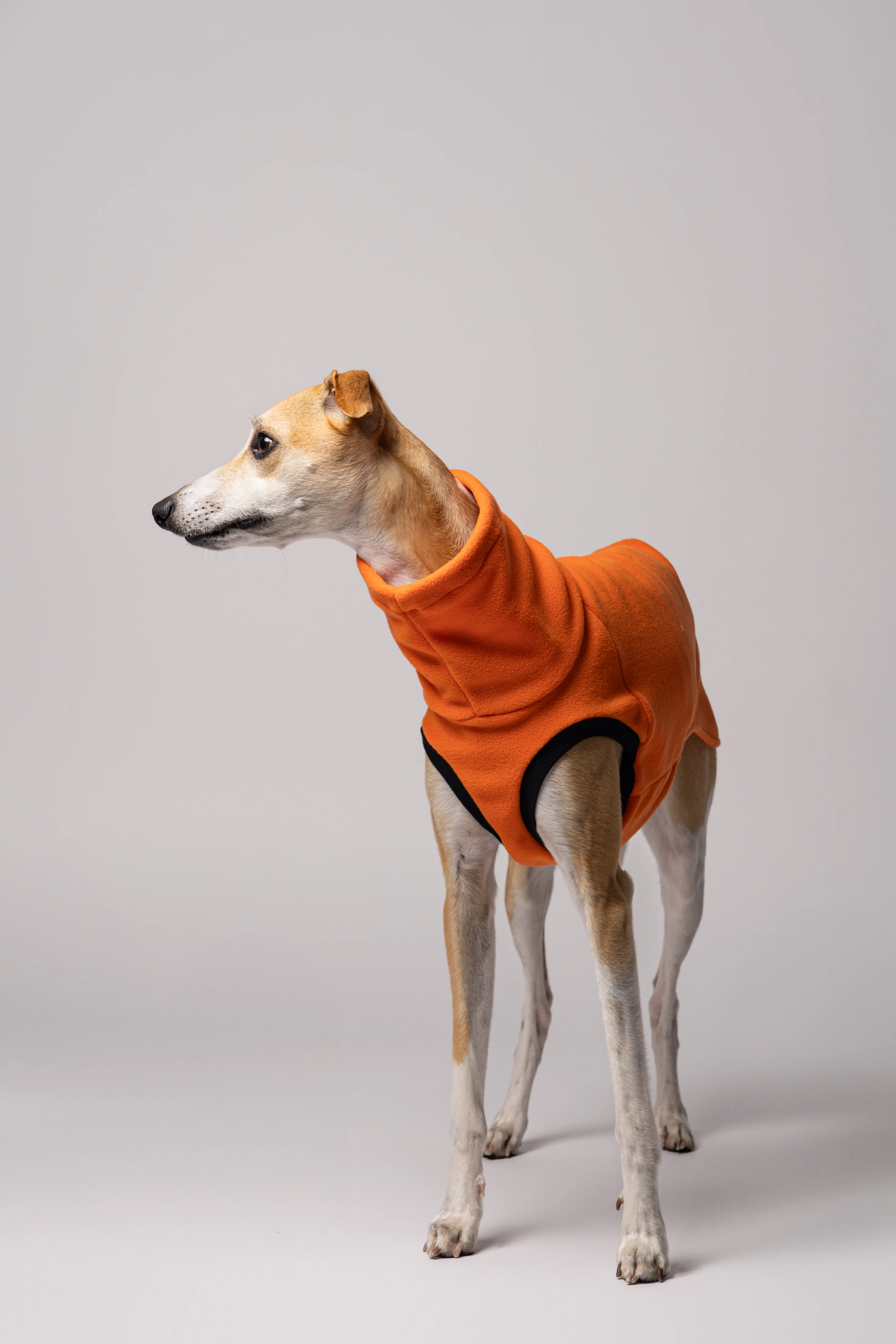 FLEECE SHIRT Windhund Orange - Image 7