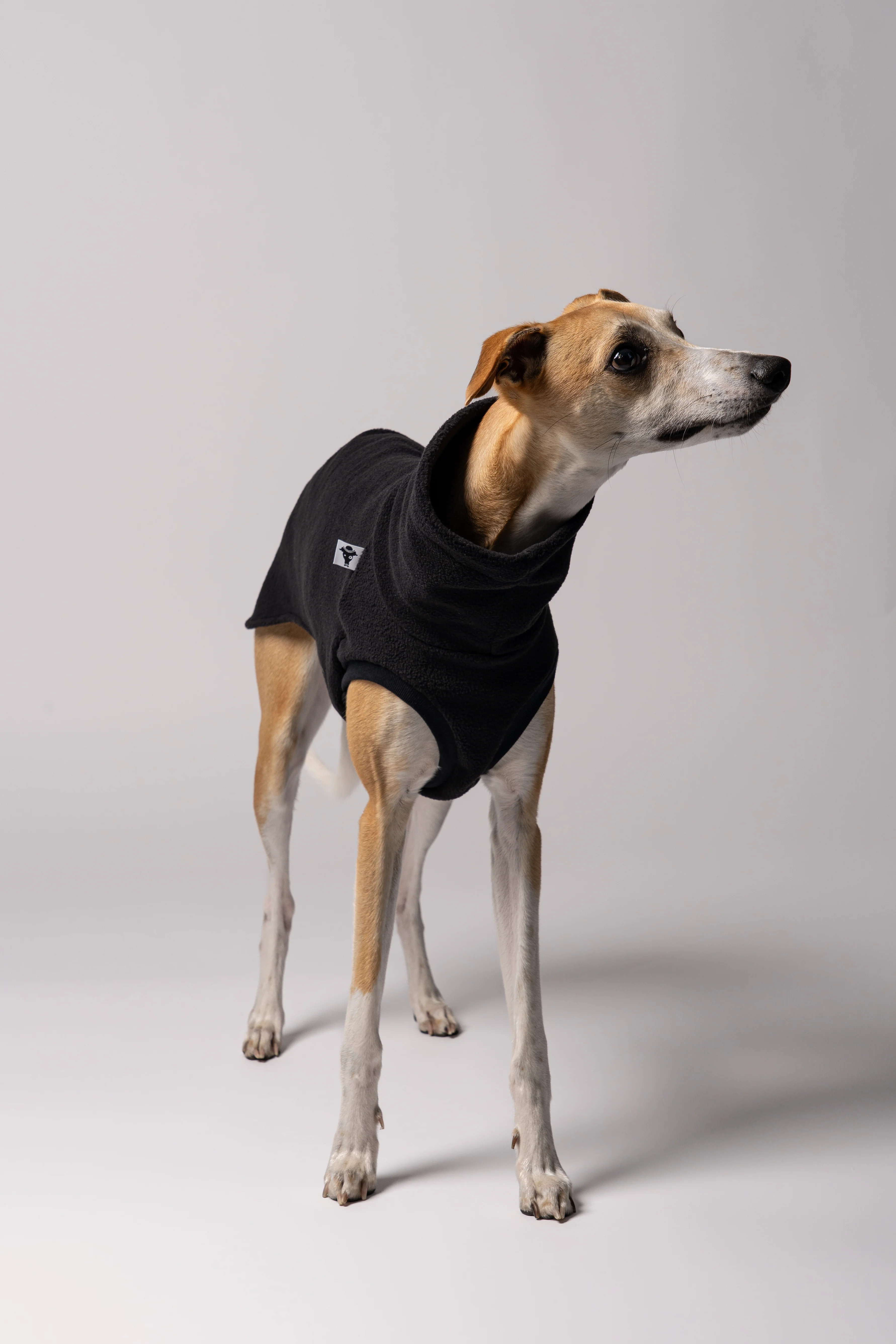 FLEECE SHIRT Windhund Schwarz - Image 4