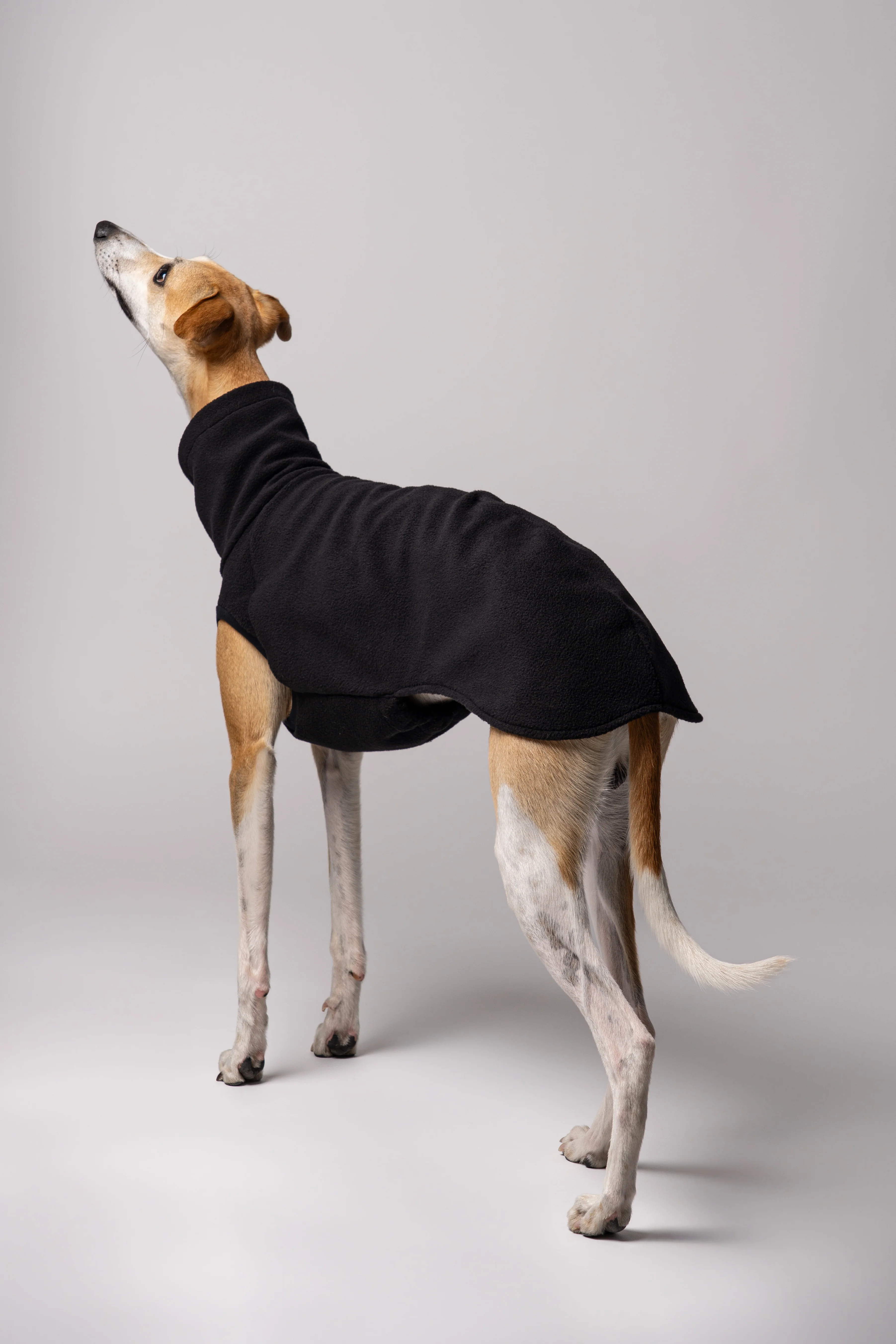 FLEECE SHIRT Windhund Schwarz - Image 5
