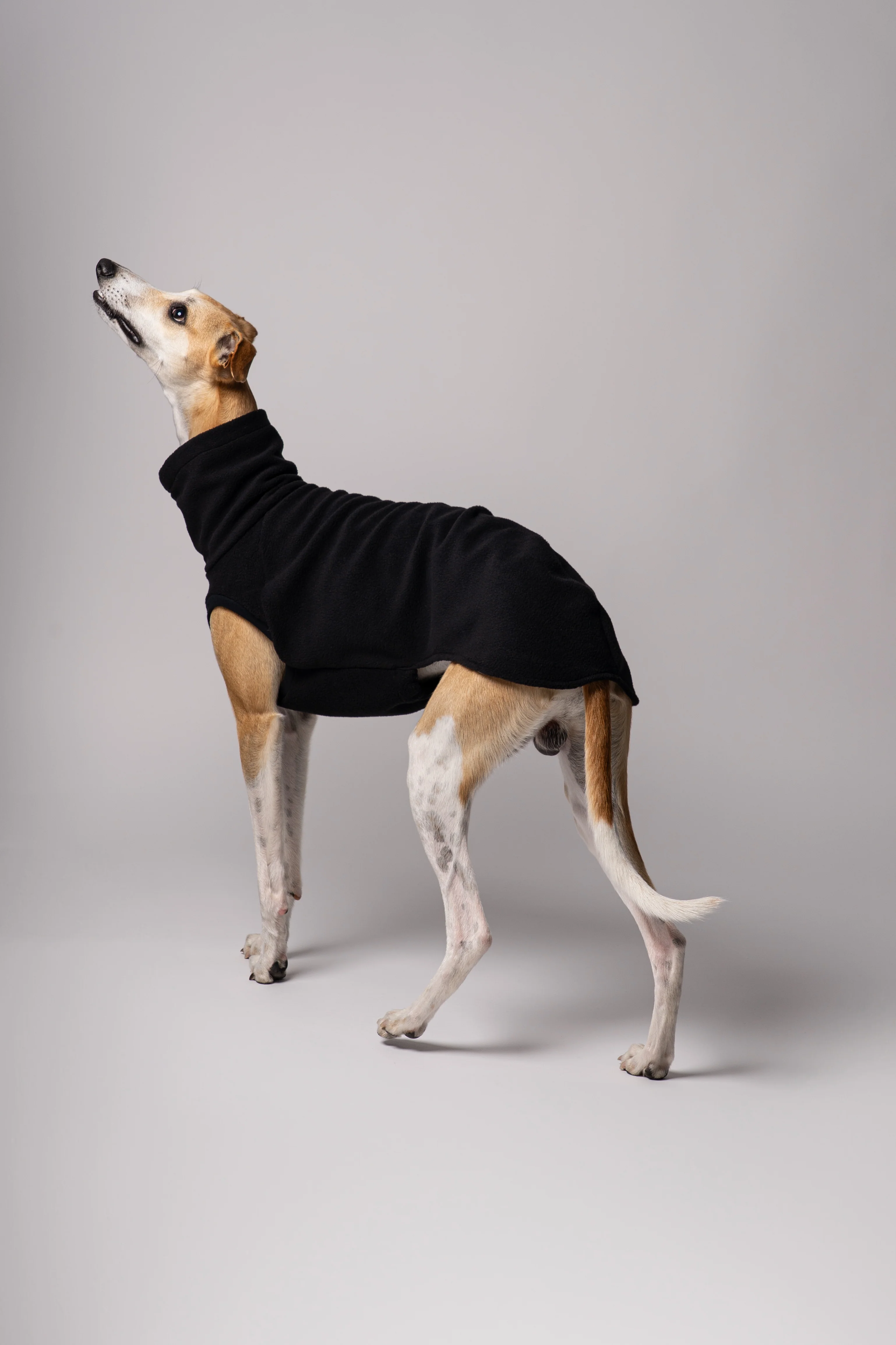 FLEECE SHIRT Windhund Schwarz - Image 6