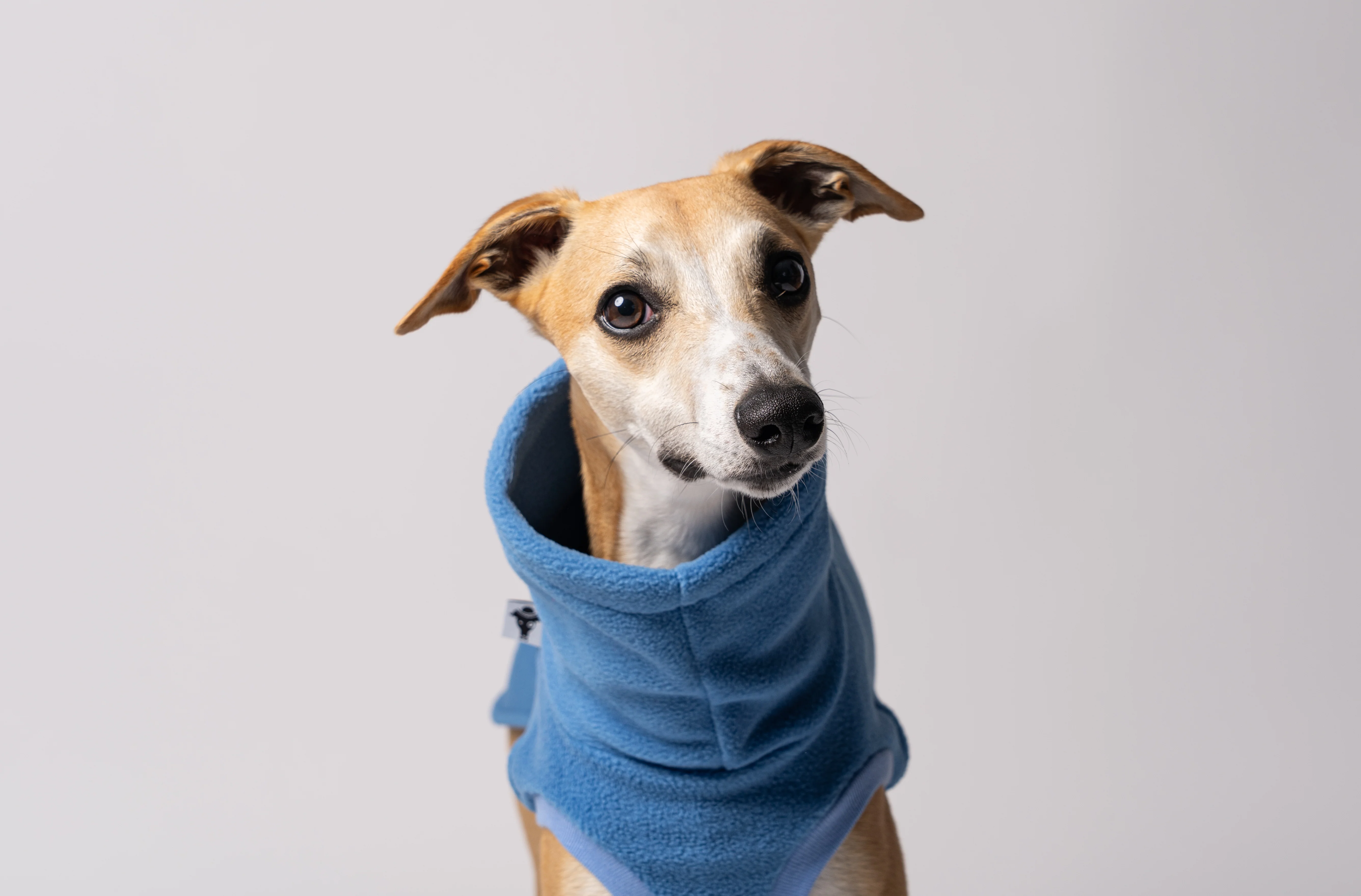 FLEECE SHIRT Windhund Sky Blue - Image 4