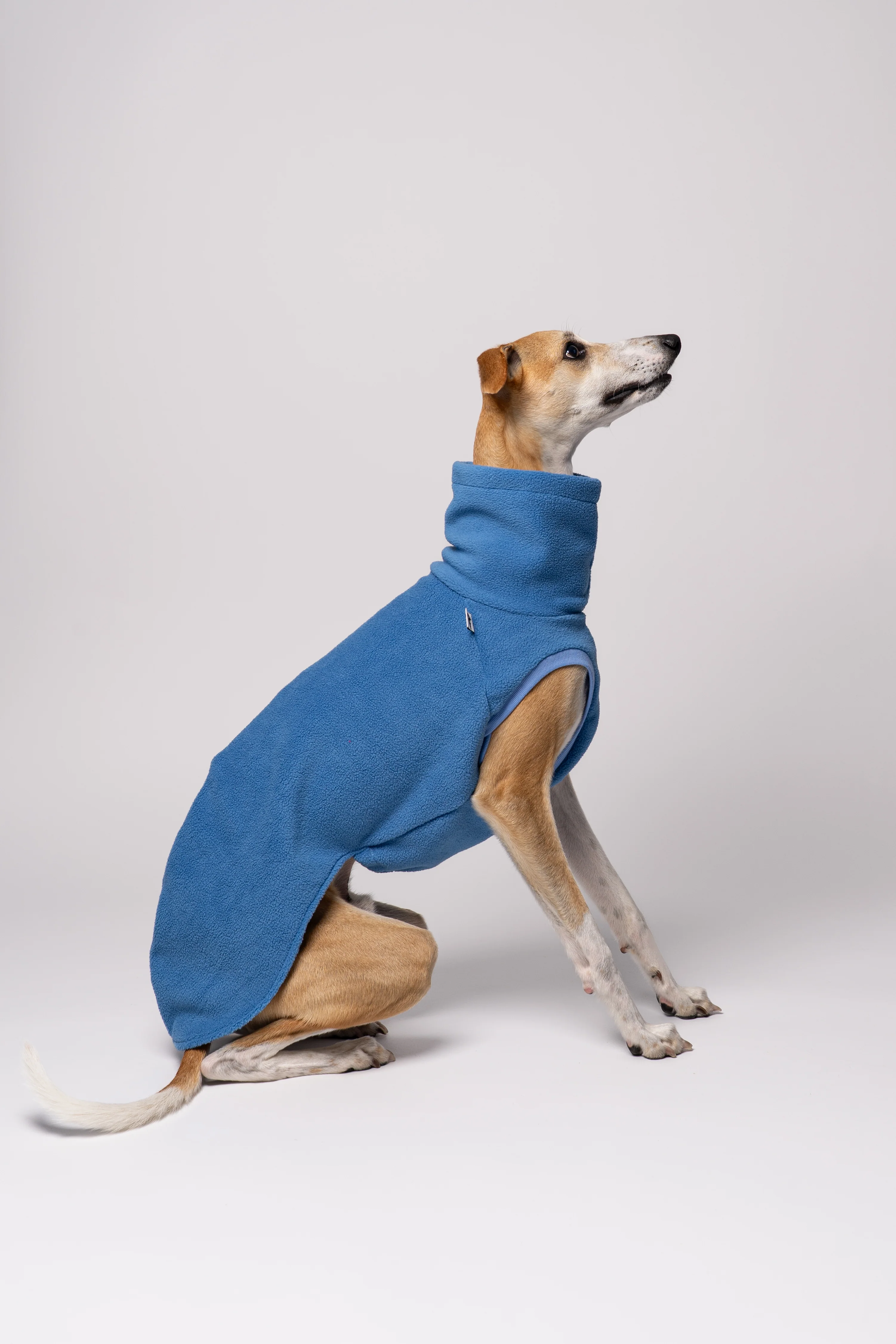FLEECE SHIRT Windhund Sky Blue - Image 5