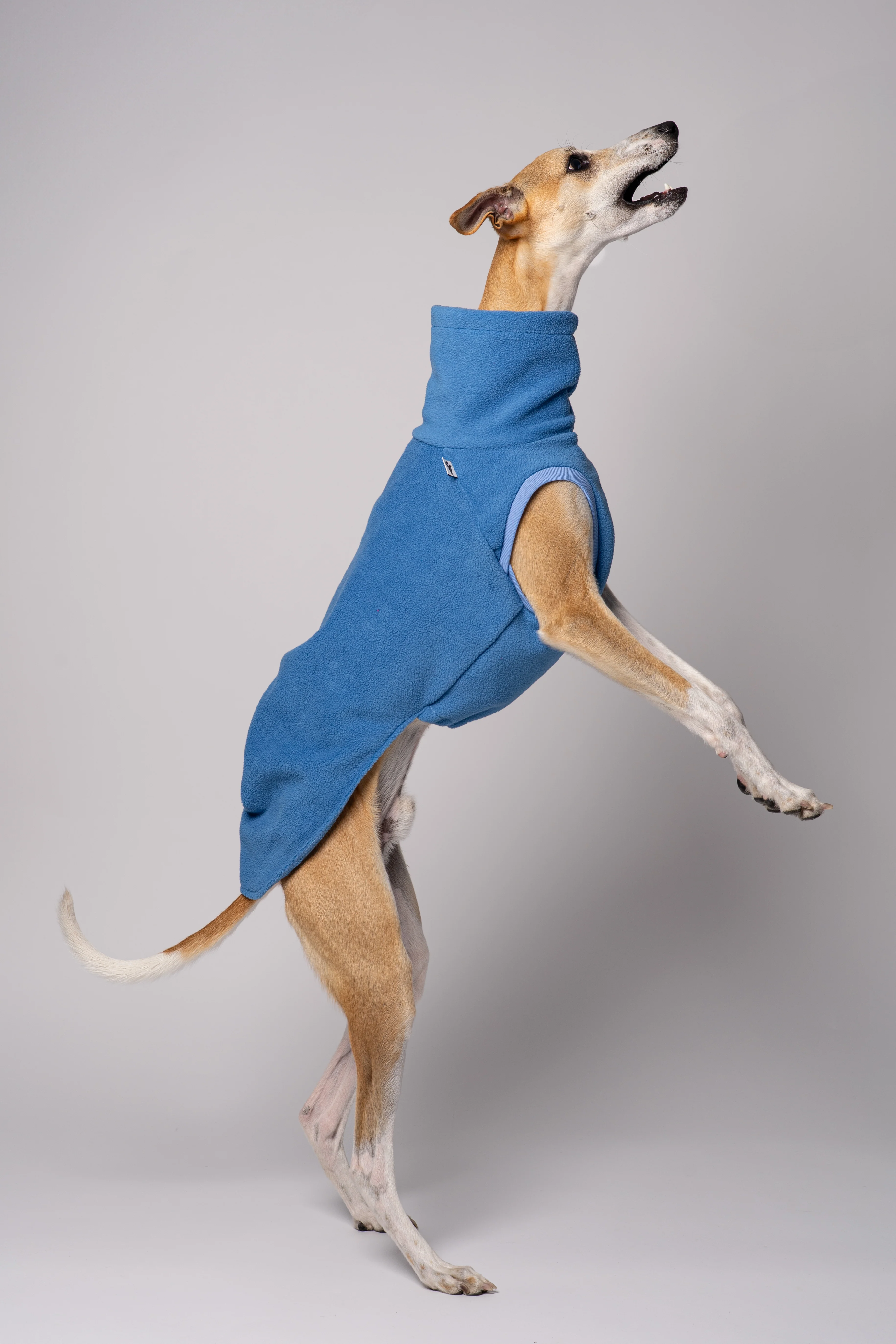 FLEECE SHIRT Windhund Sky Blue - Image 6