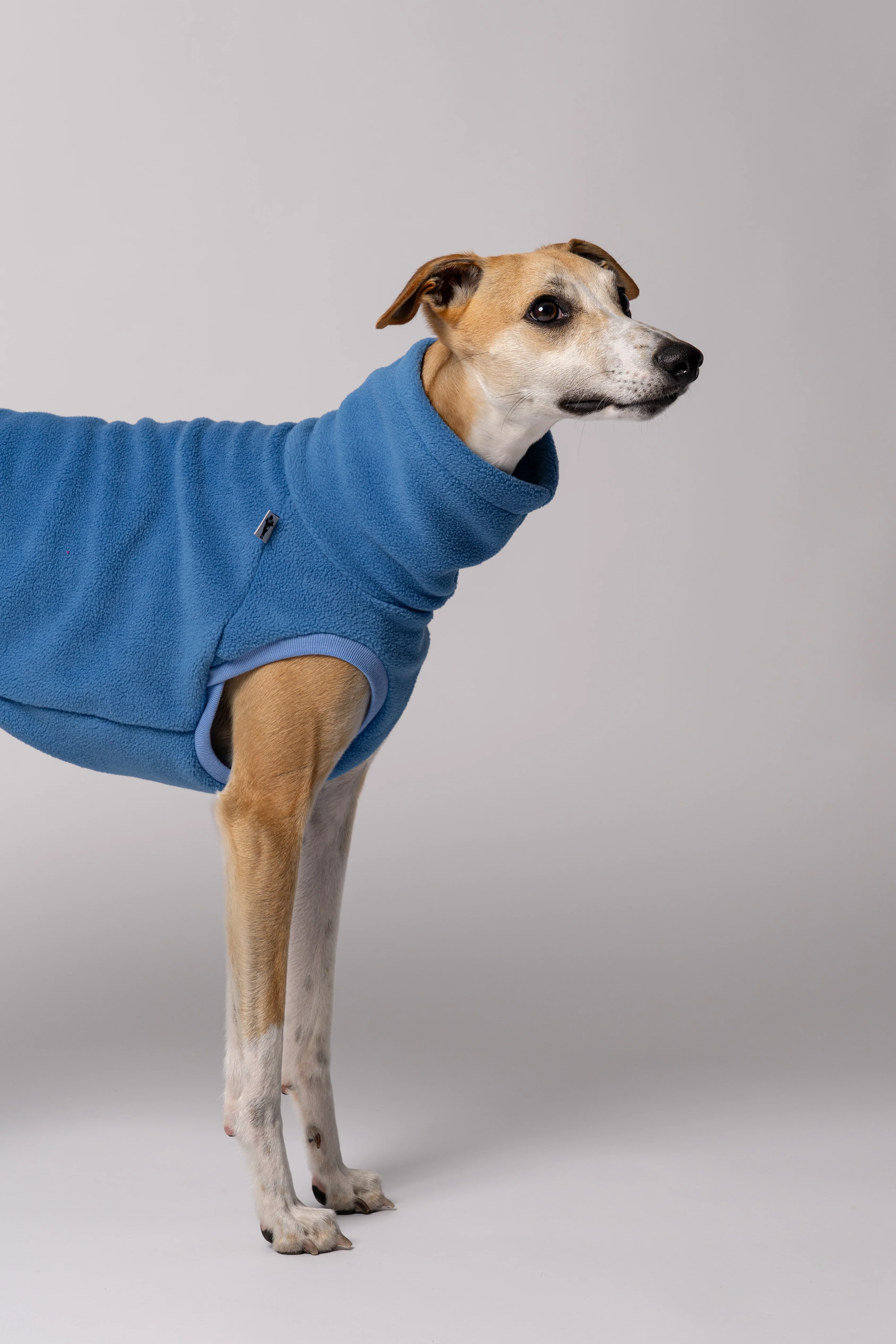 FLEECE SHIRT Windhund Sky Blue - Image 7