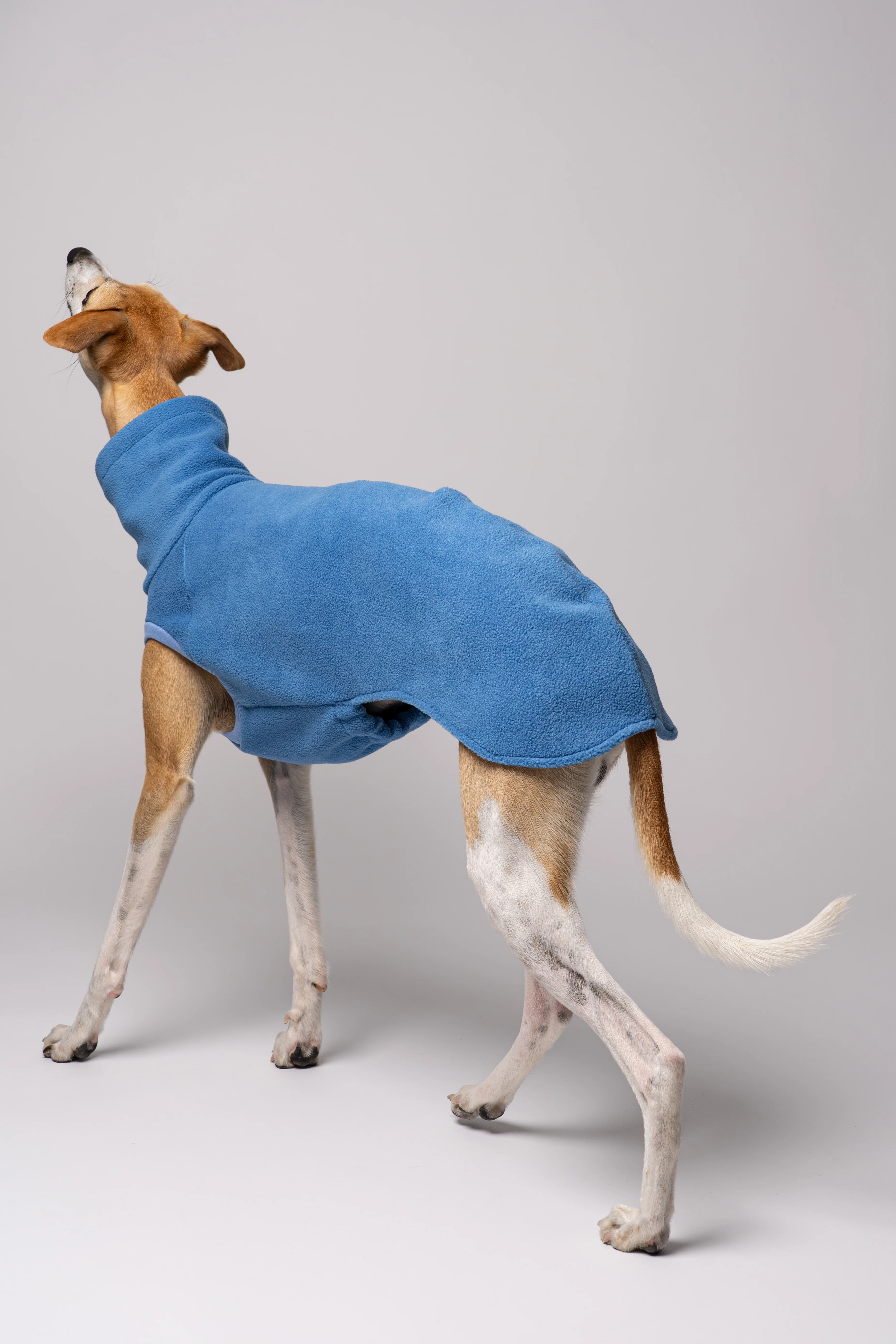FLEECE SHIRT Windhund Sky Blue - Image 8