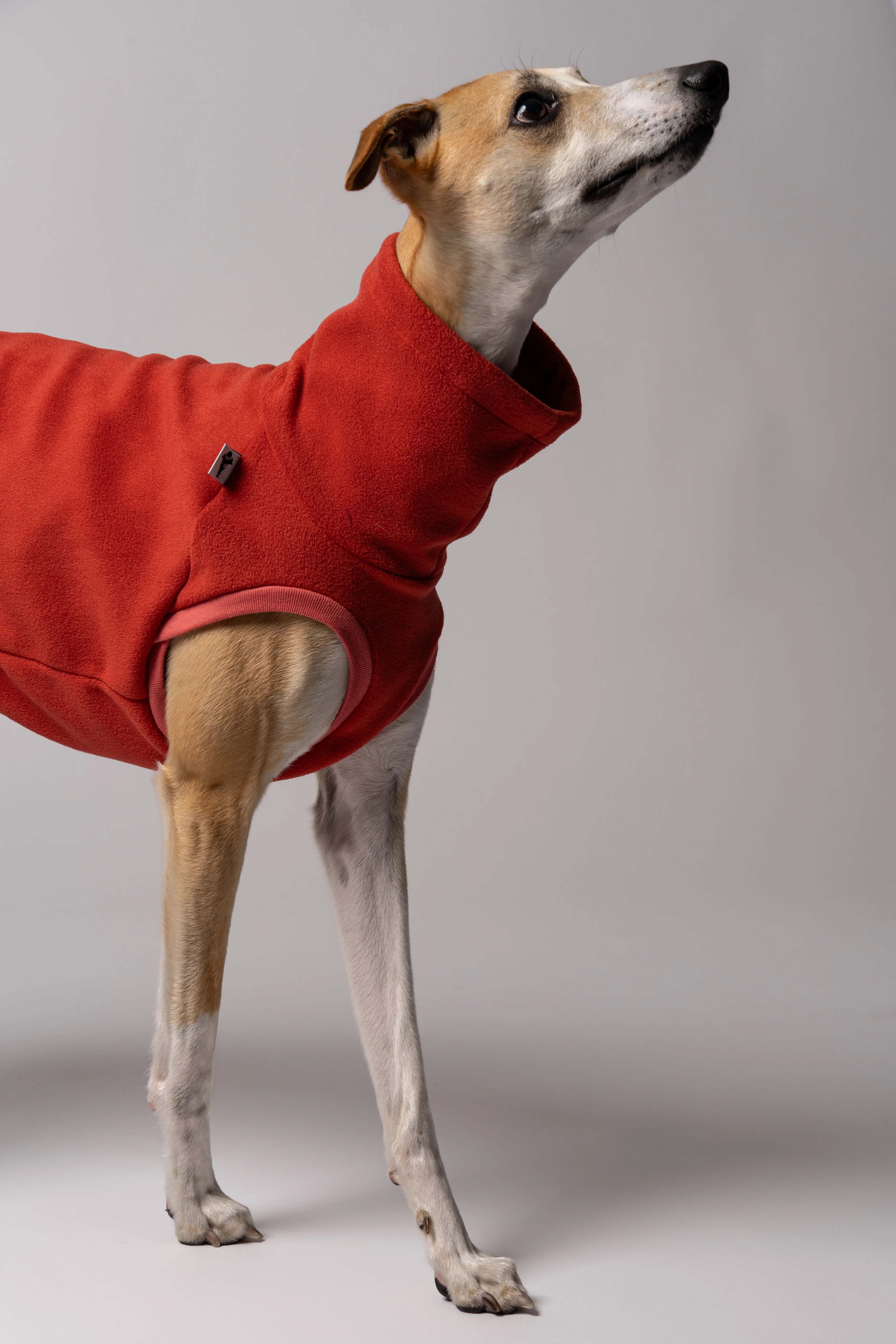 FLEECE SHIRT Windhund Terracotta - Image 4