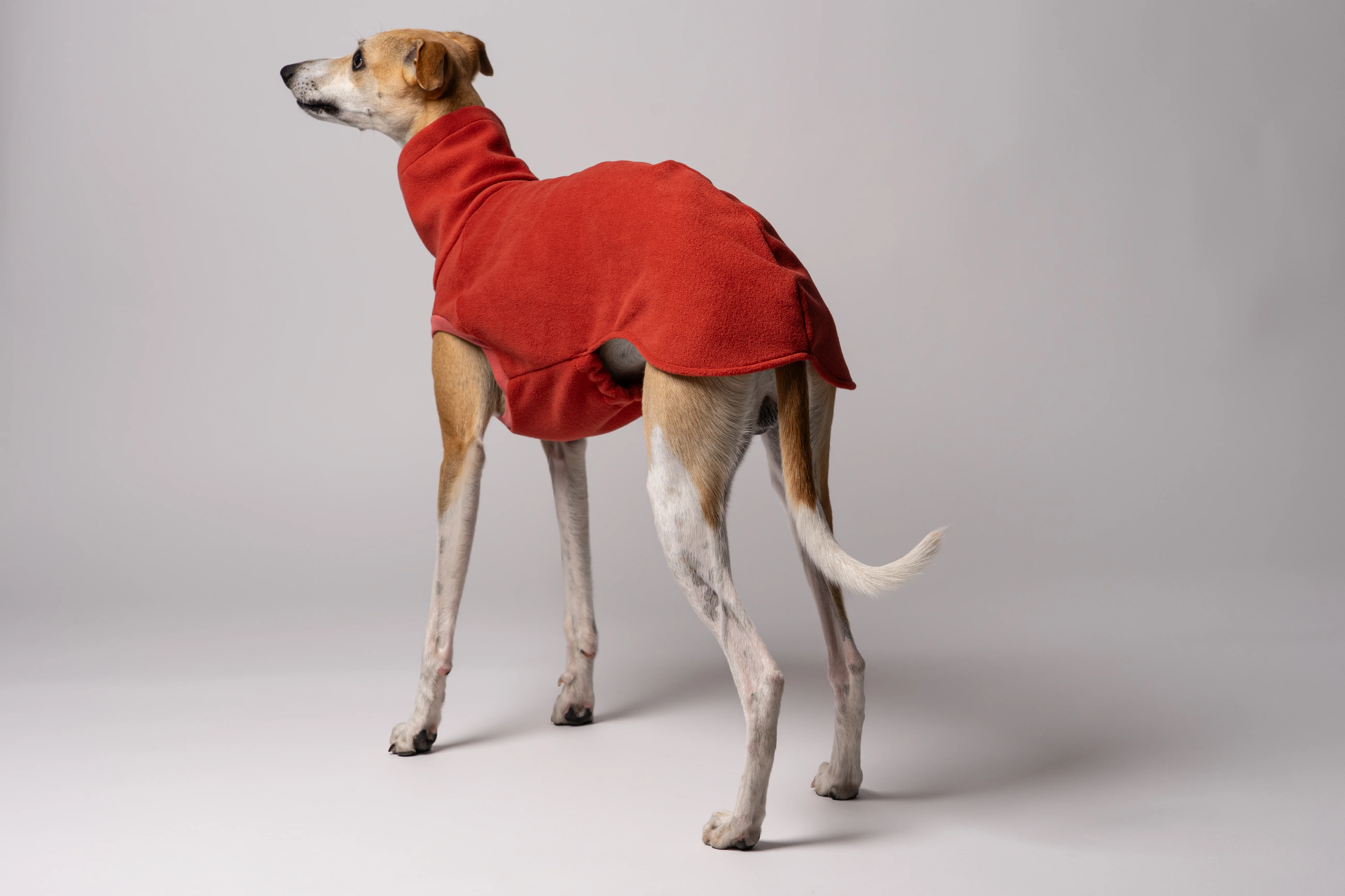 FLEECE SHIRT Windhund Terracotta - Image 5