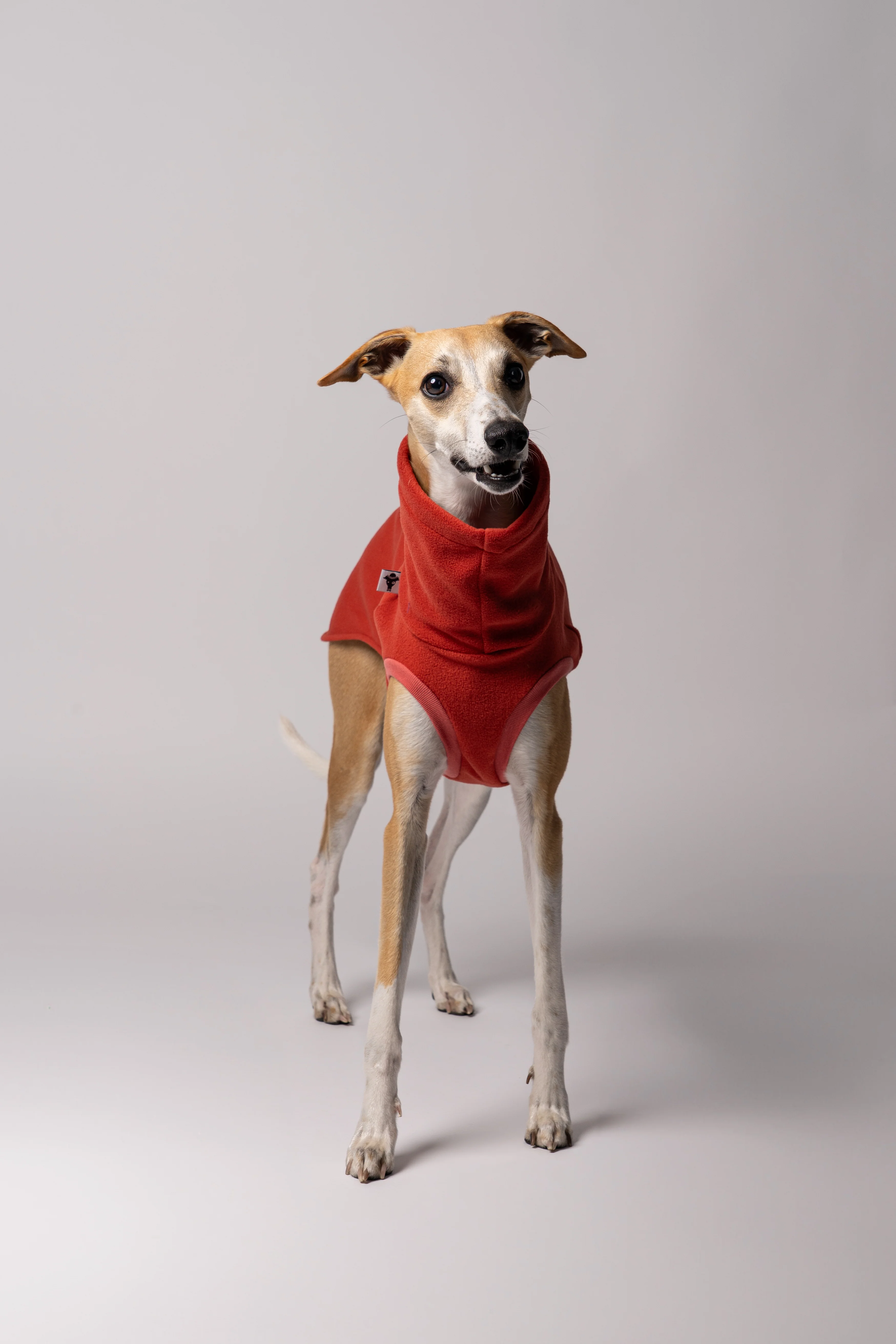 FLEECE SHIRT Windhund Terracotta - Image 6