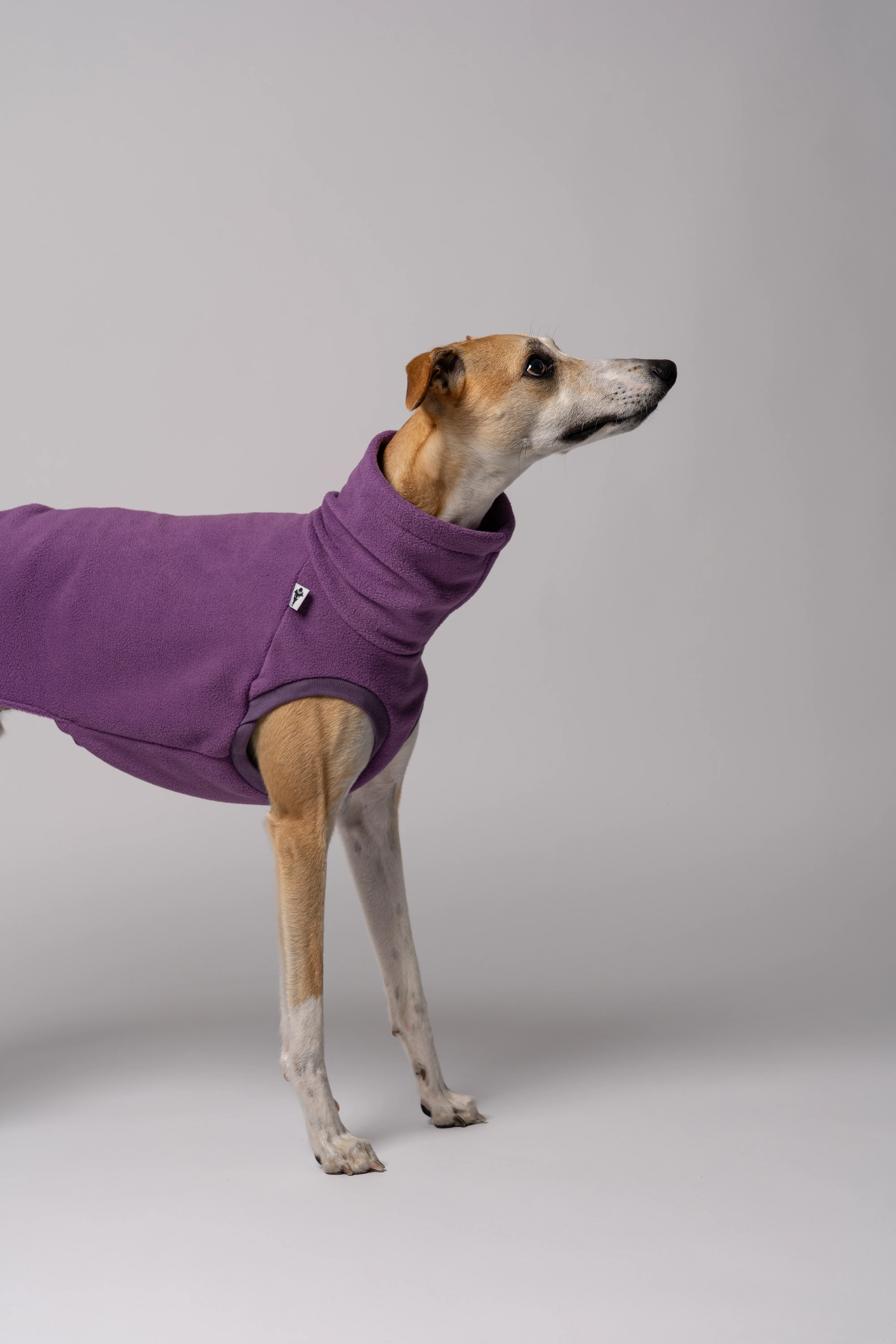FLEECE SHIRT Windhund Violet - Image 4