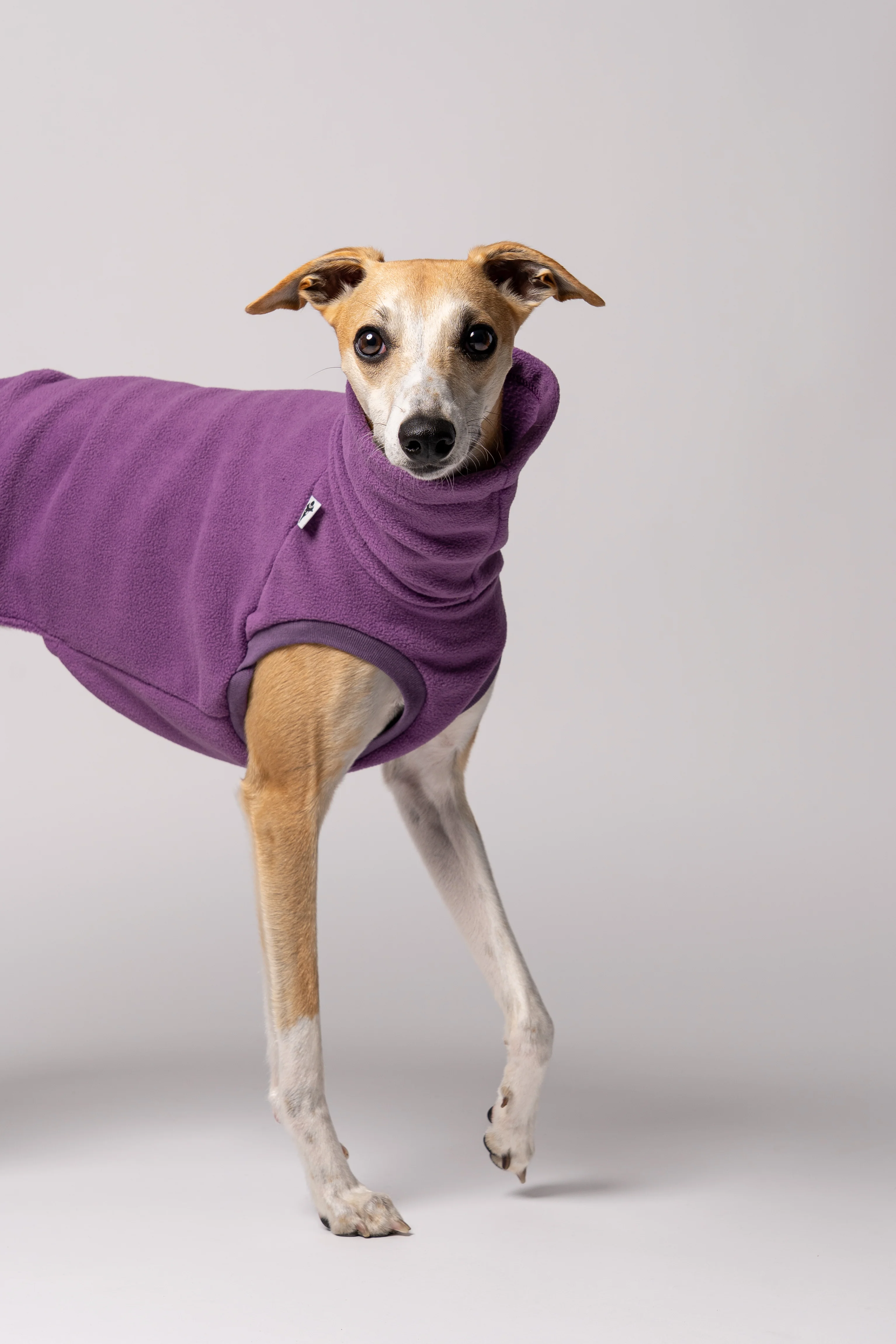 FLEECE SHIRT Windhund Violet - Image 5