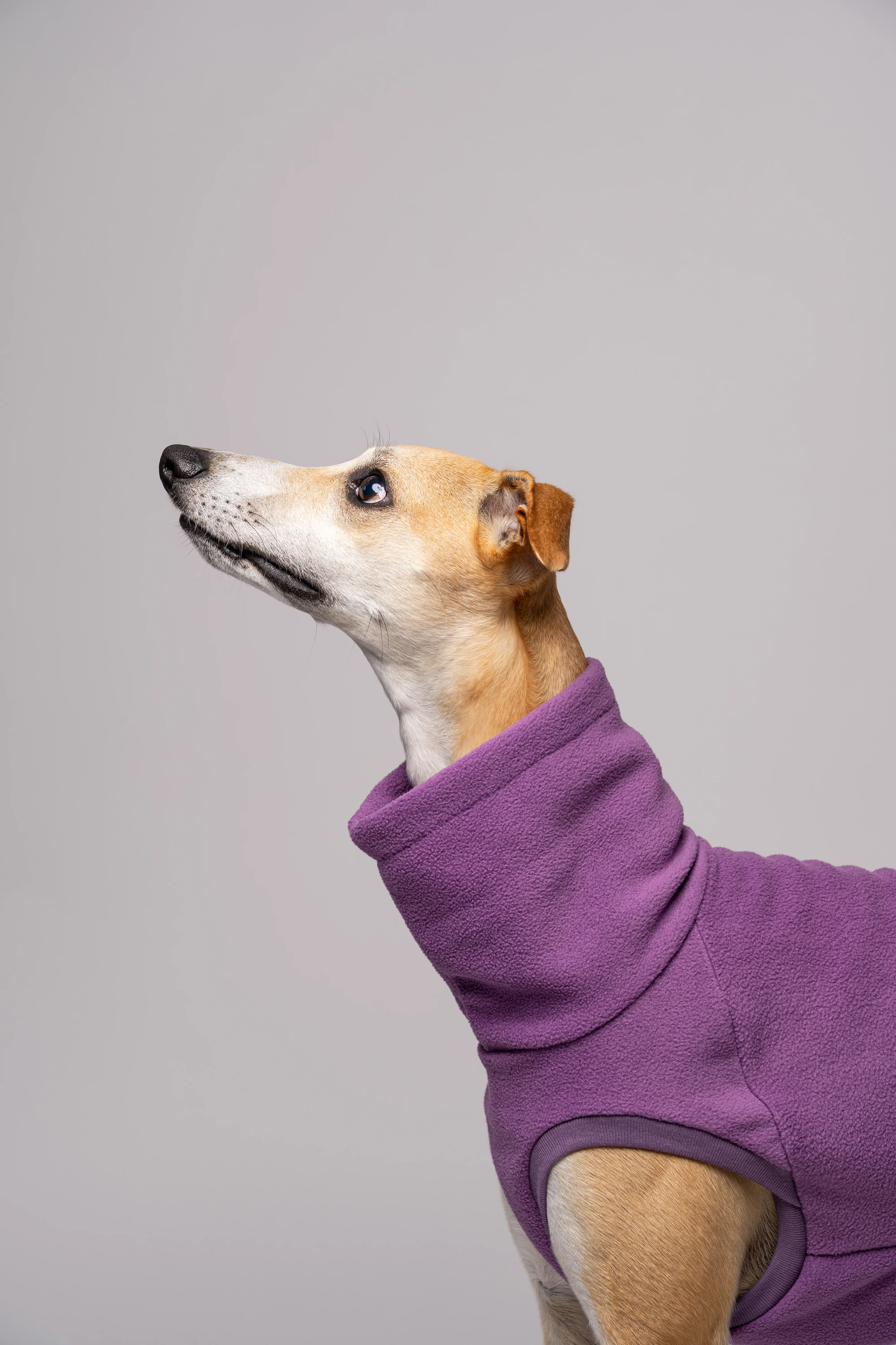 FLEECE SHIRT Windhund Violet - Image 6