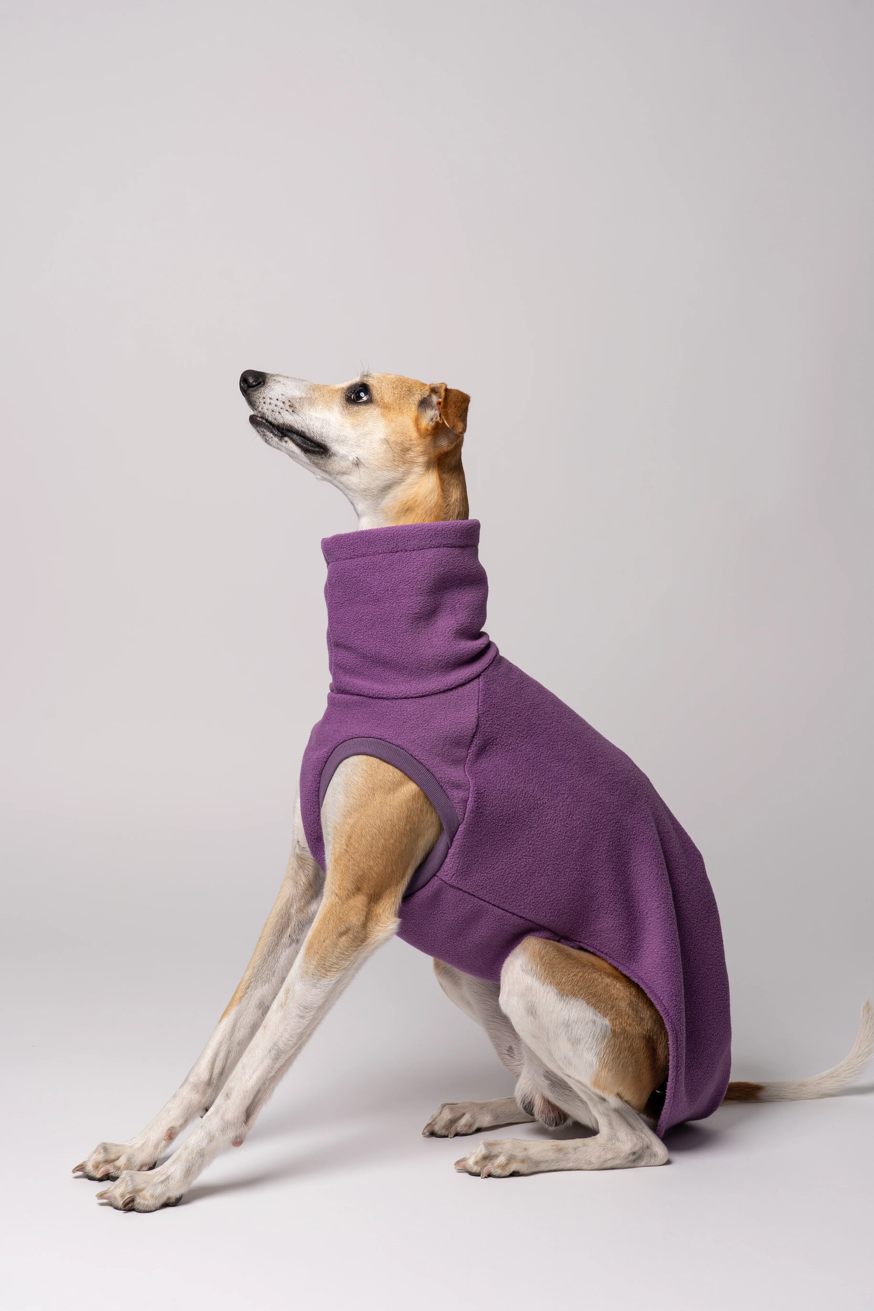 FLEECE SHIRT Windhund Violet - Image 7