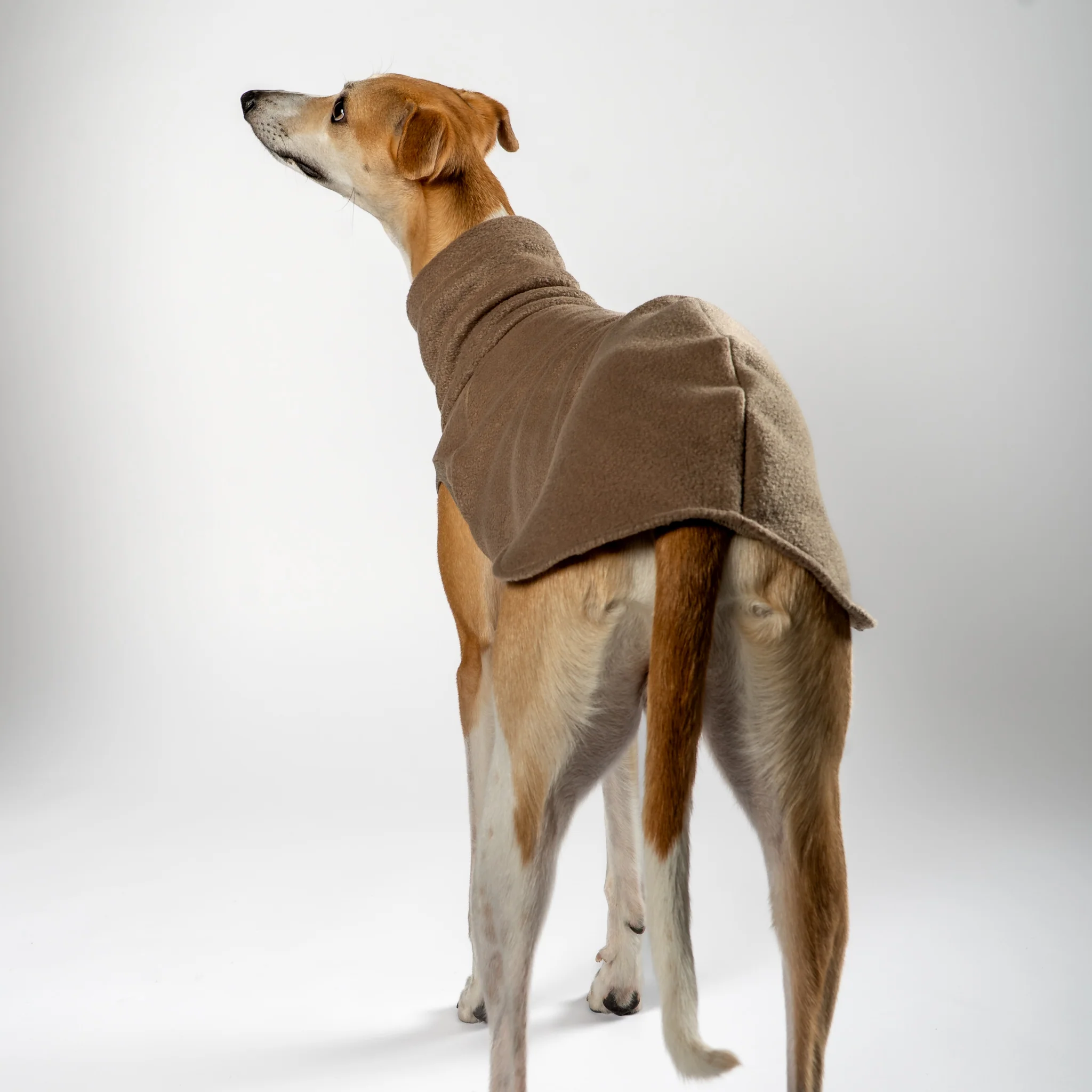 FLEECE SHIRT Windhund Walnut - Image 3
