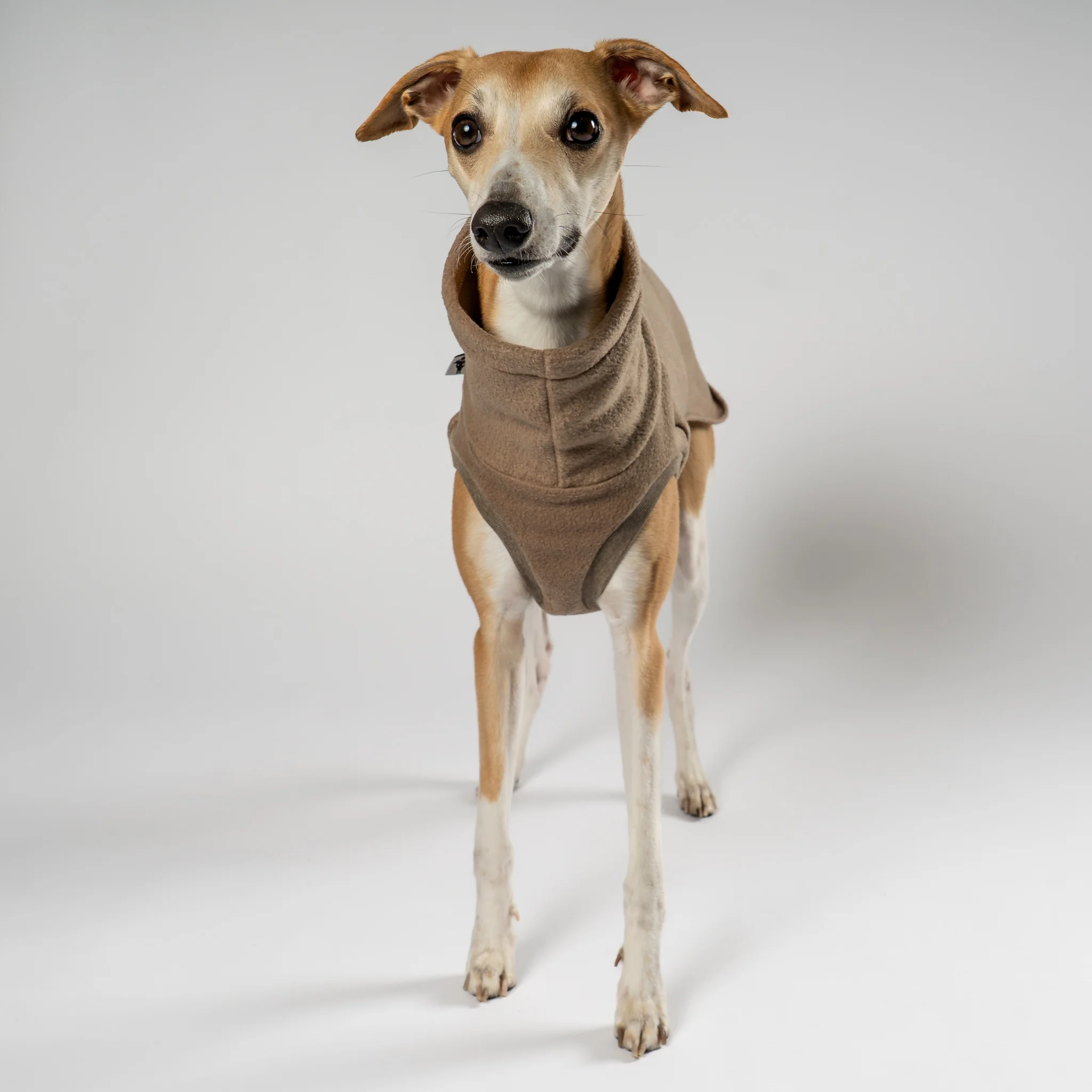 FLEECE SHIRT Windhund Walnut - Image 4