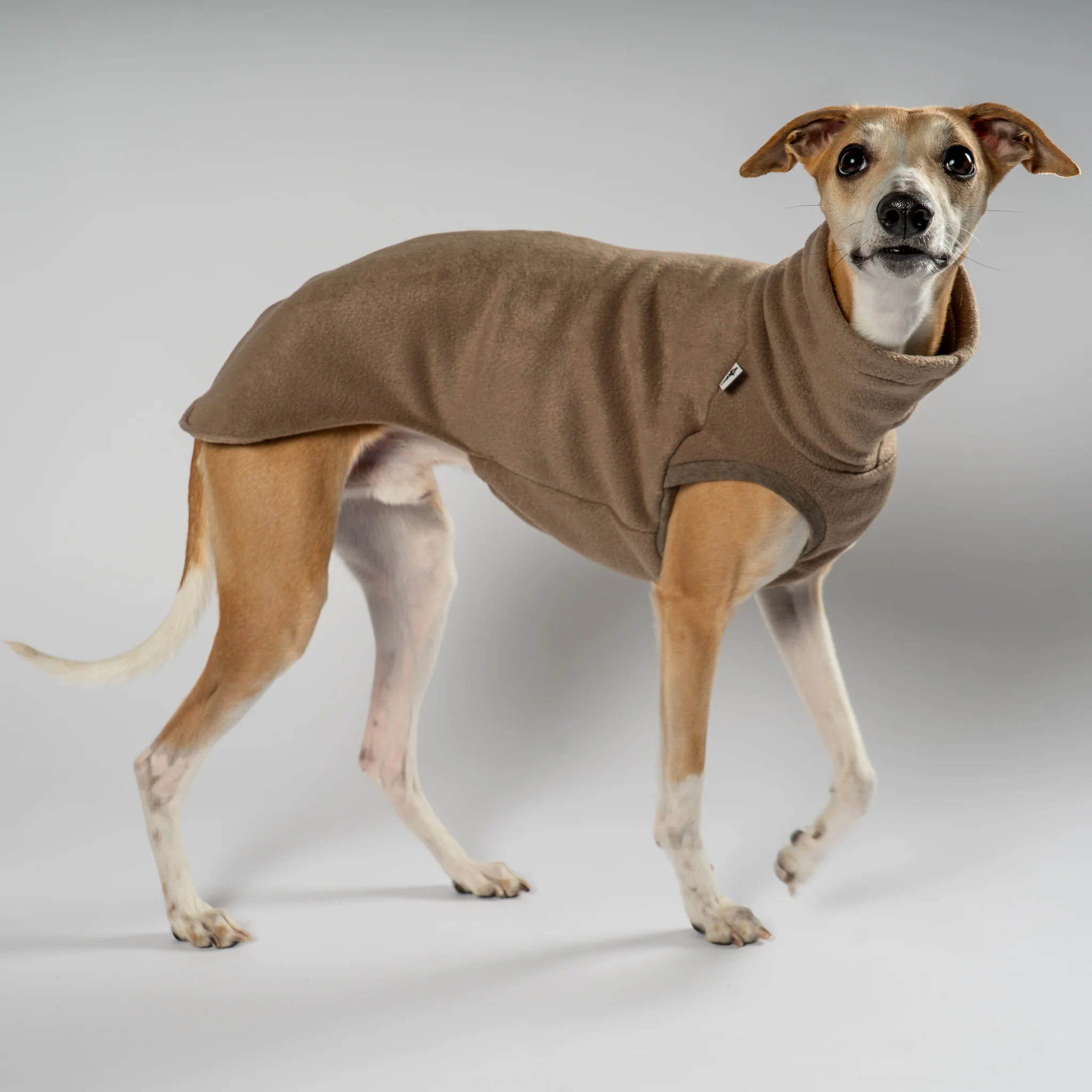 FLEECE SHIRT Windhund Walnut - Image 6
