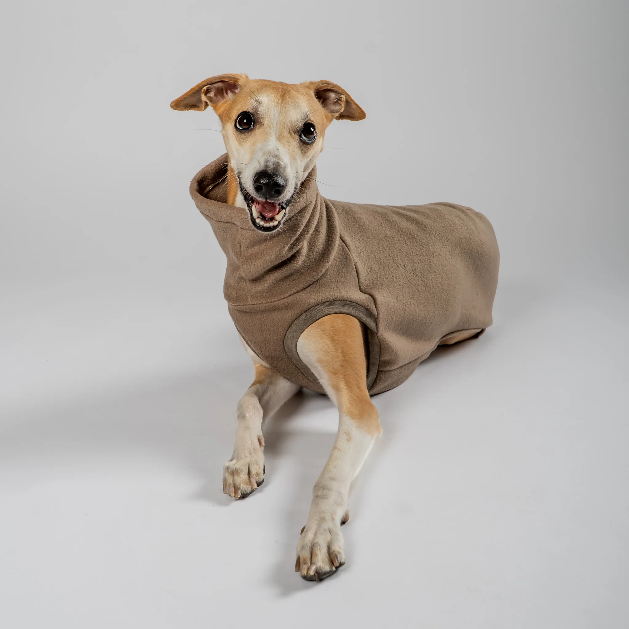FLEECE SHIRT Windhund Walnut - Image 7