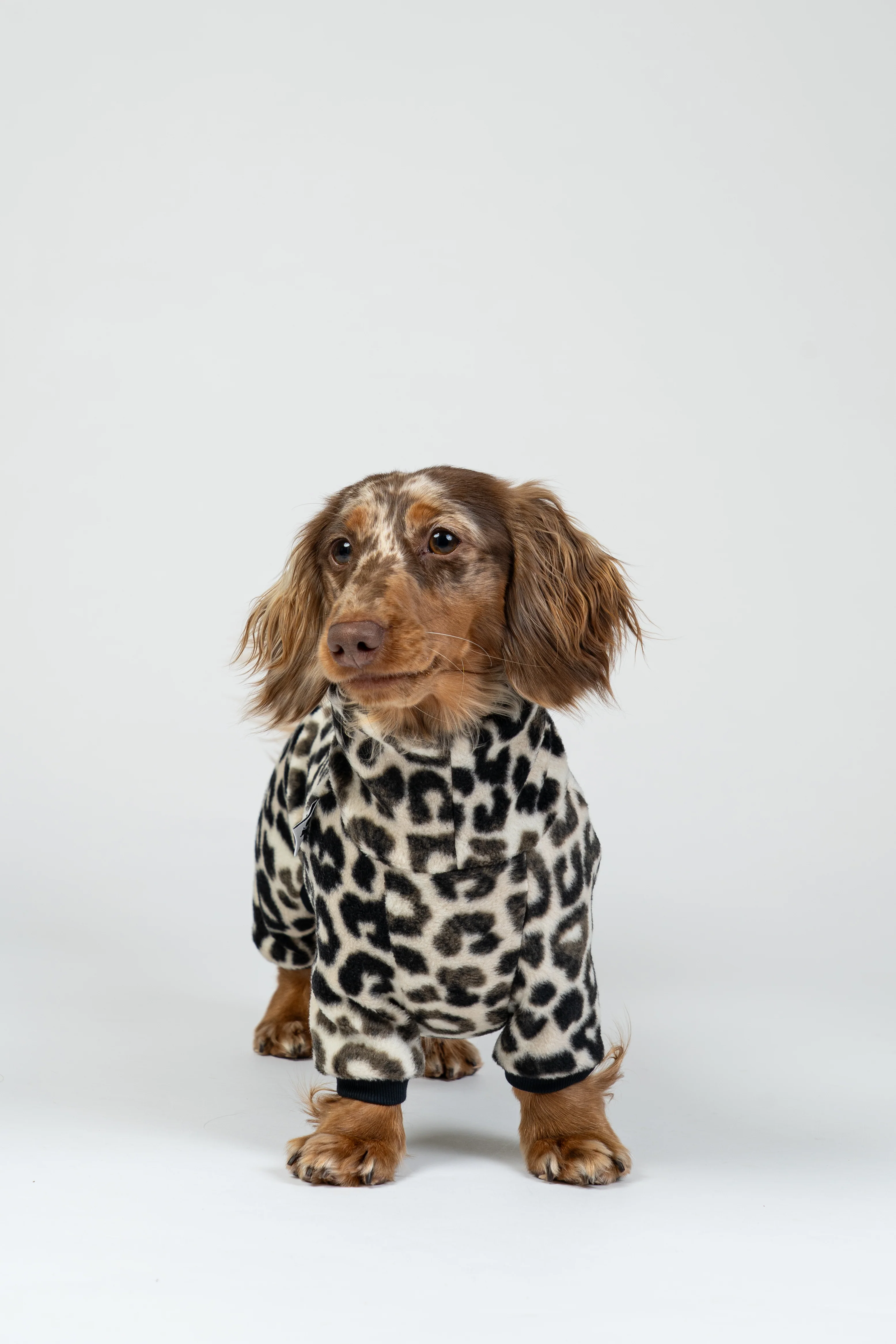 OVERALL Dackel Leo - Image 4