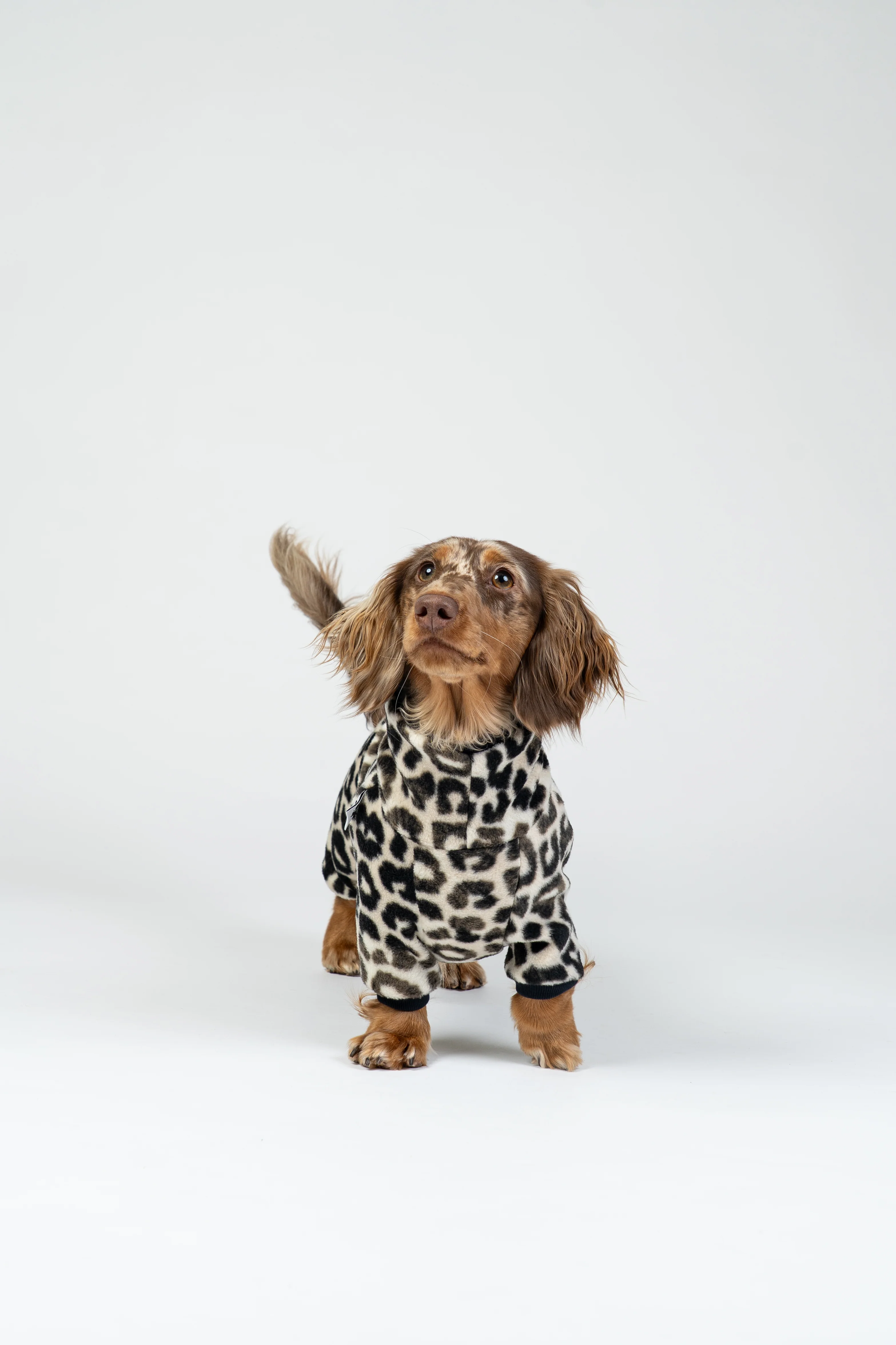 OVERALL Dackel Leo - Image 5