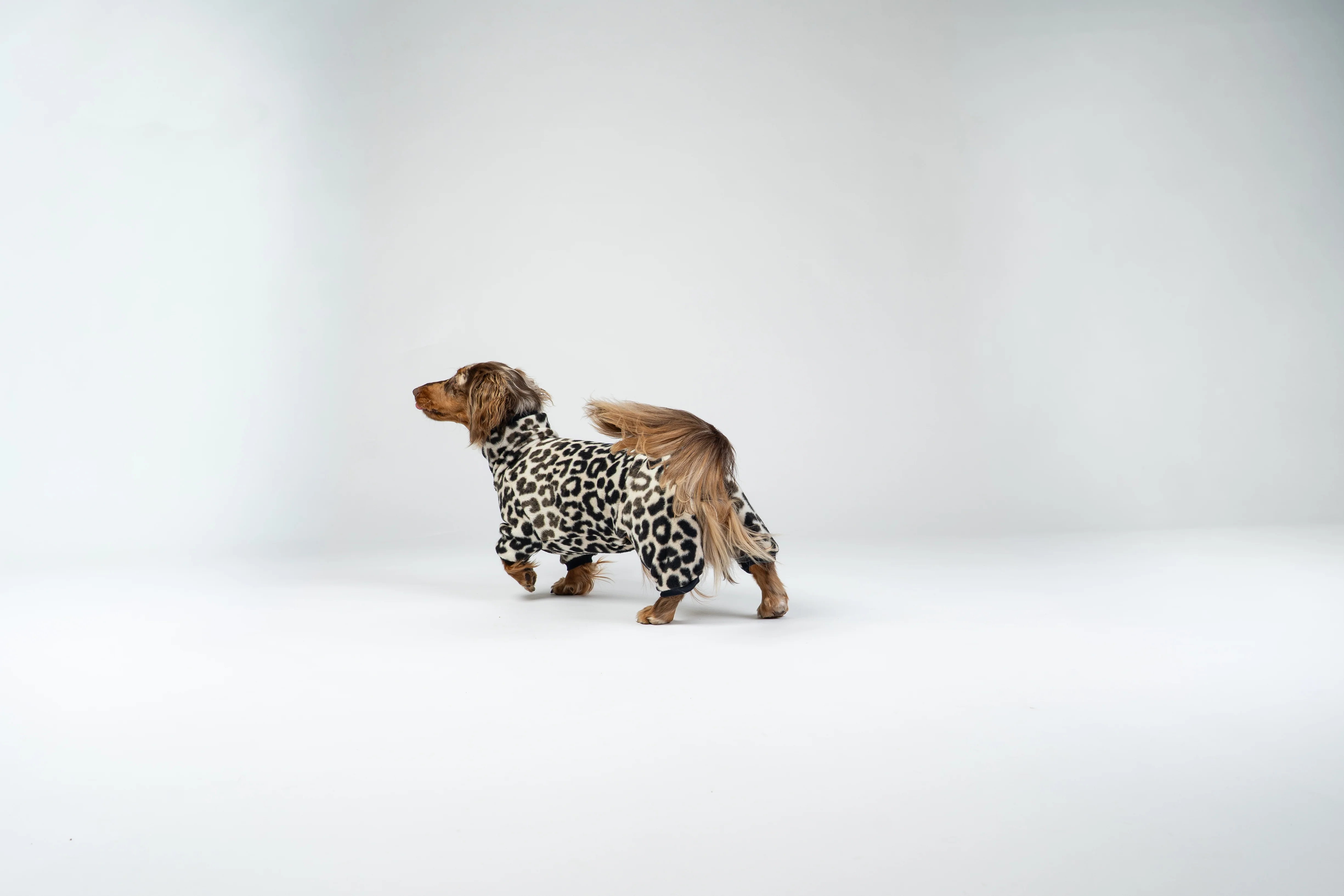 OVERALL Dackel Leo - Image 6