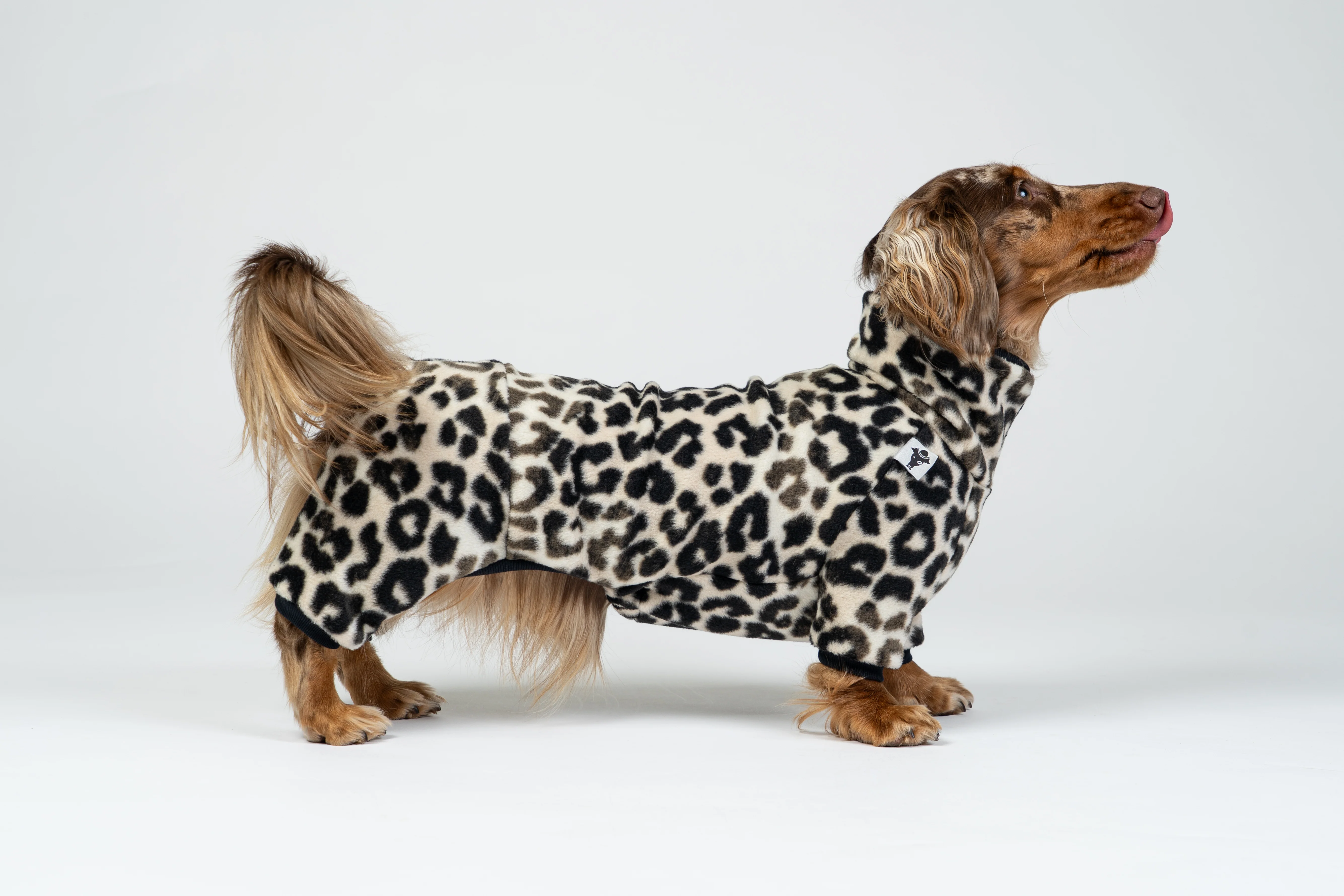 OVERALL Dackel Leo - Image 7