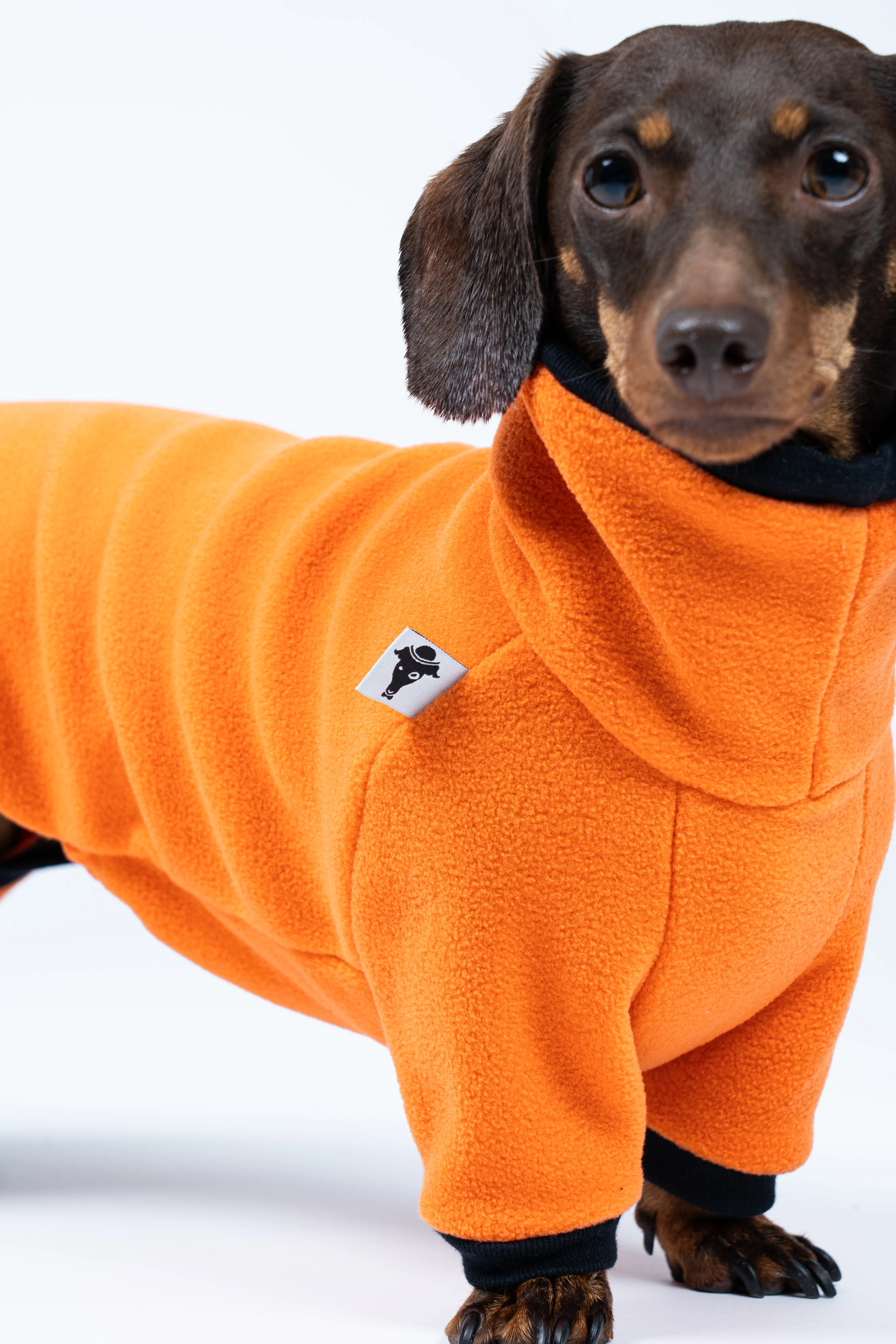OVERALL Dackel Orange - Image 4