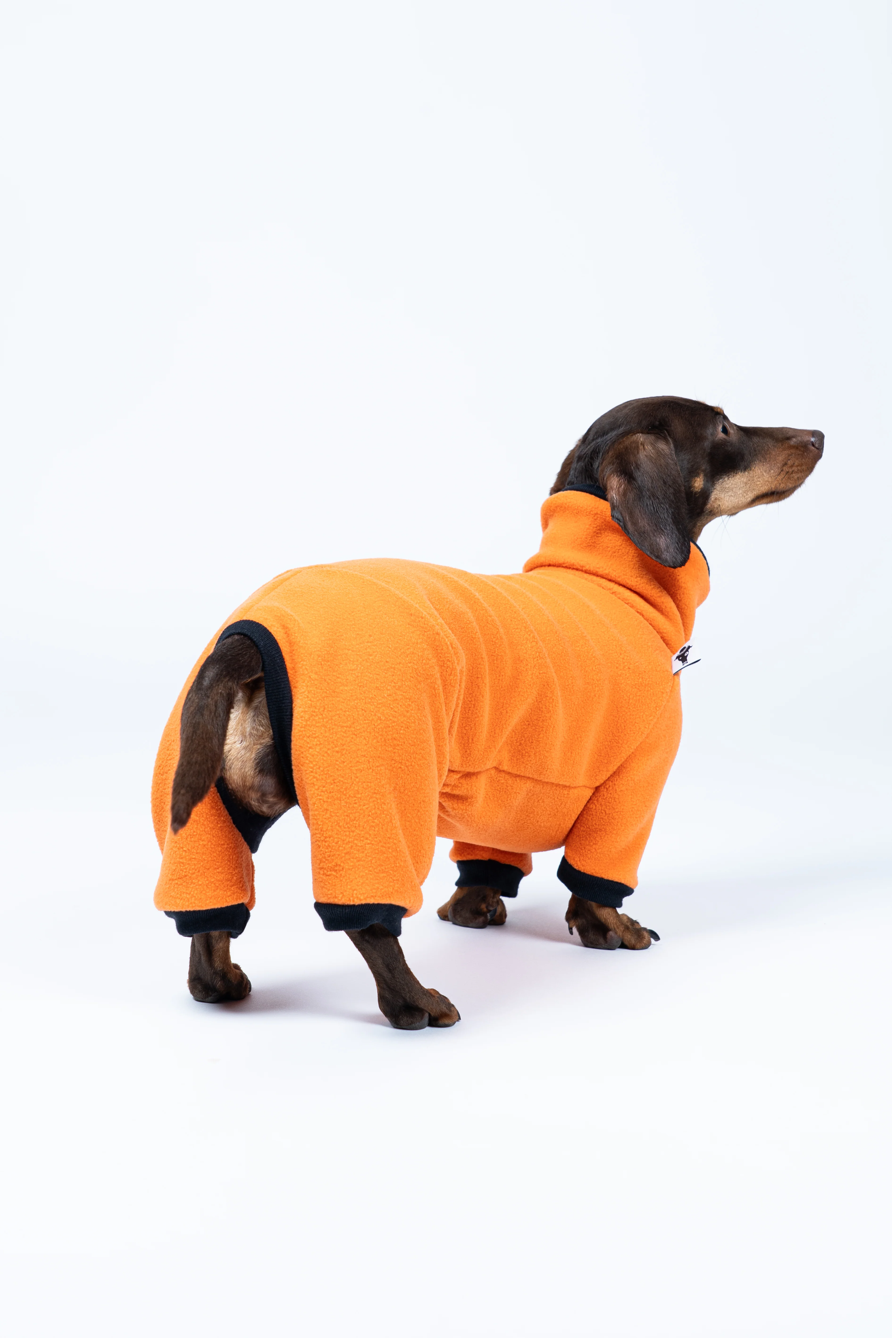 OVERALL Dackel Orange - Image 5