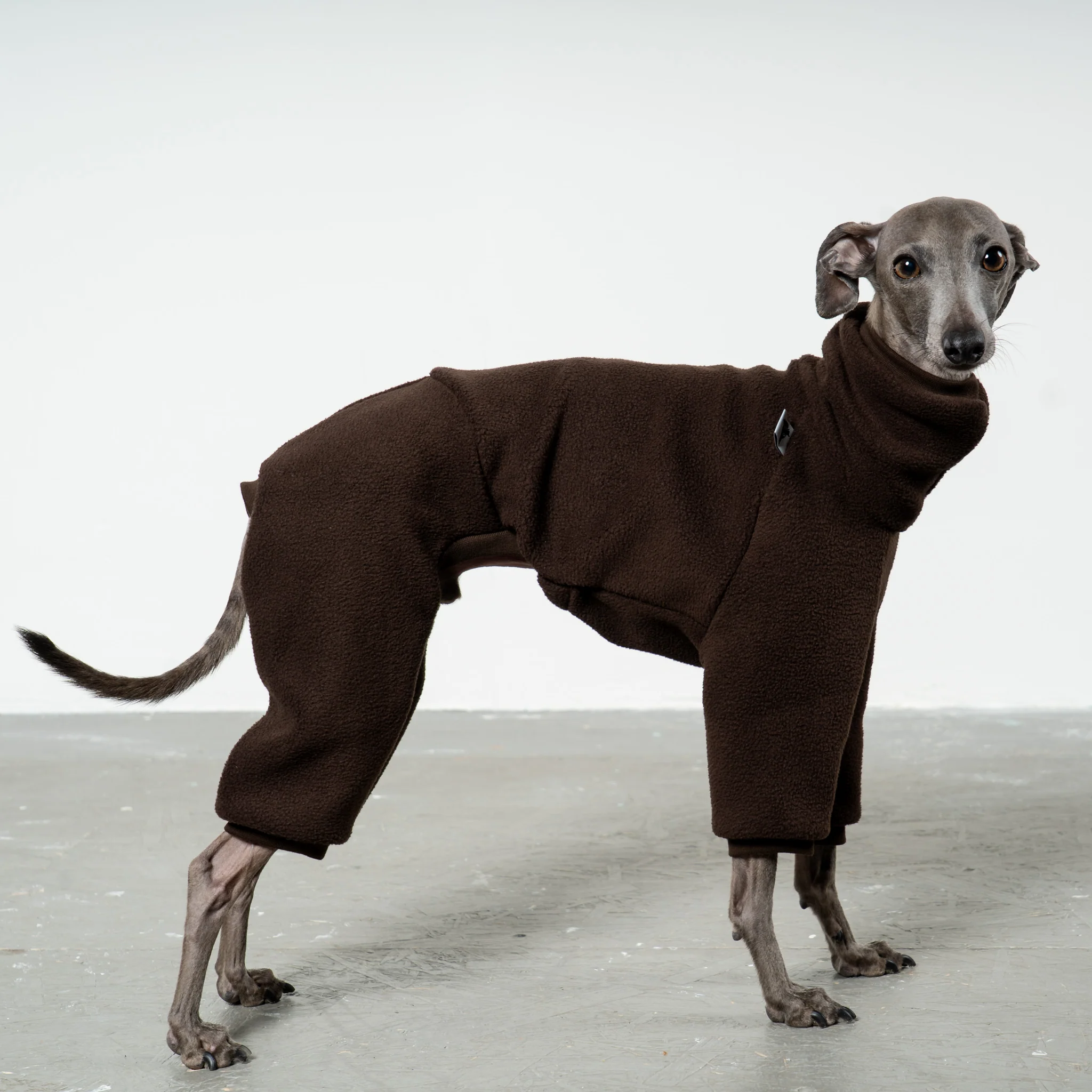 OVERALL Iggy Espresso - Image 4