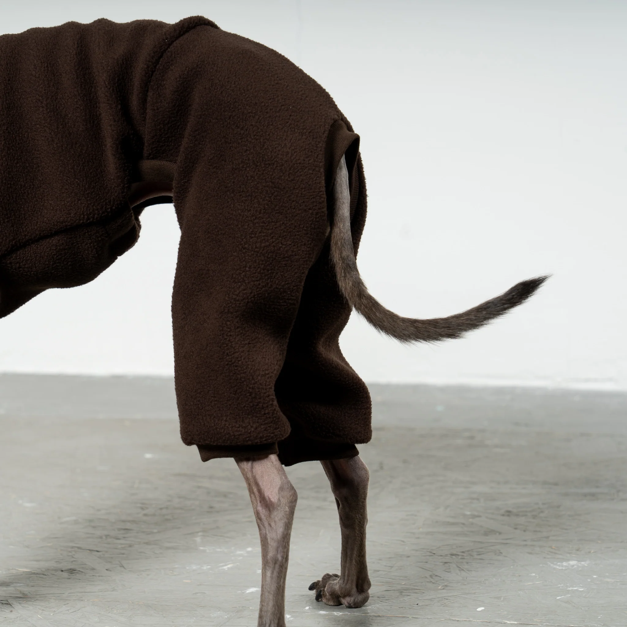 OVERALL Iggy Espresso - Image 5