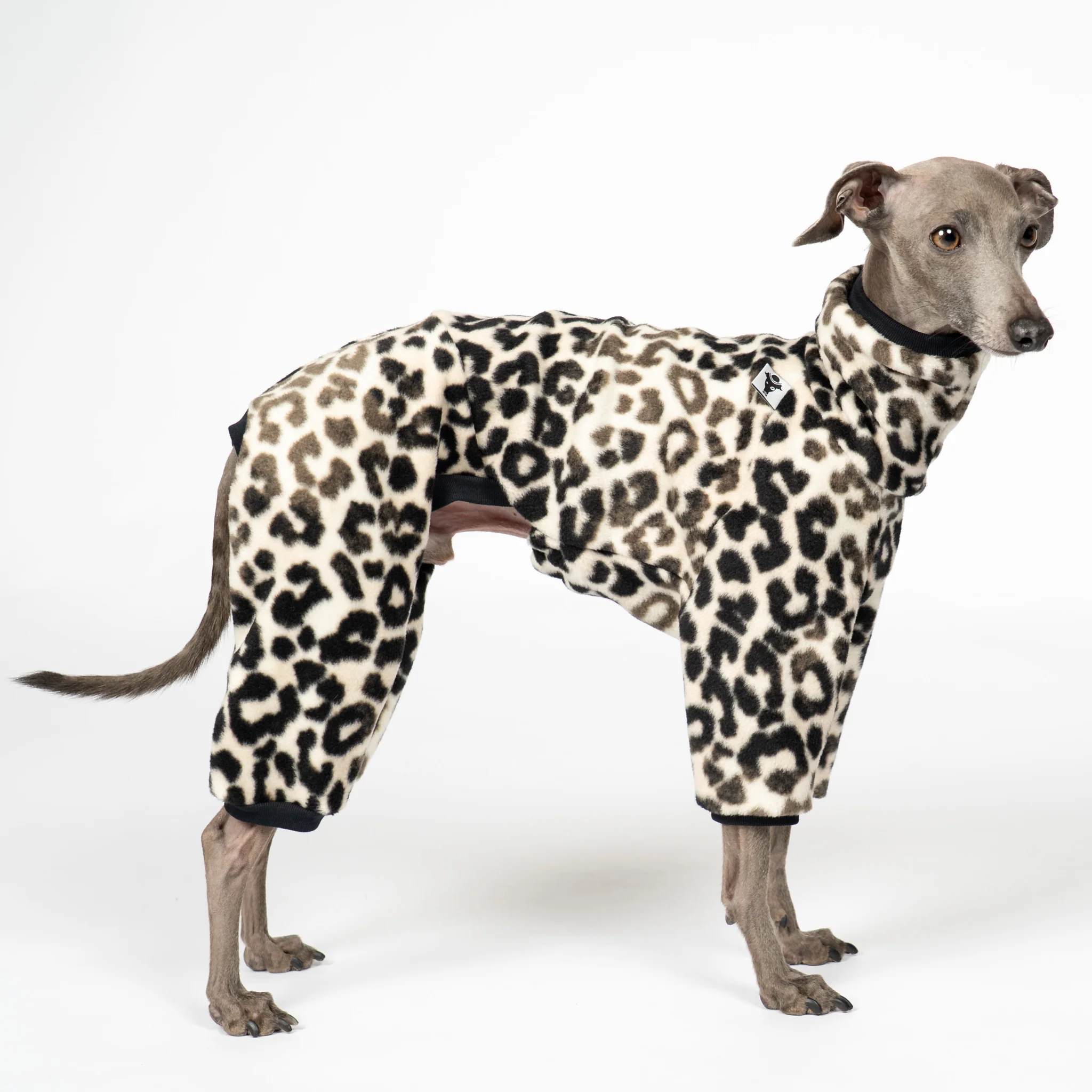 OVERALL Iggy Leo - Image 2