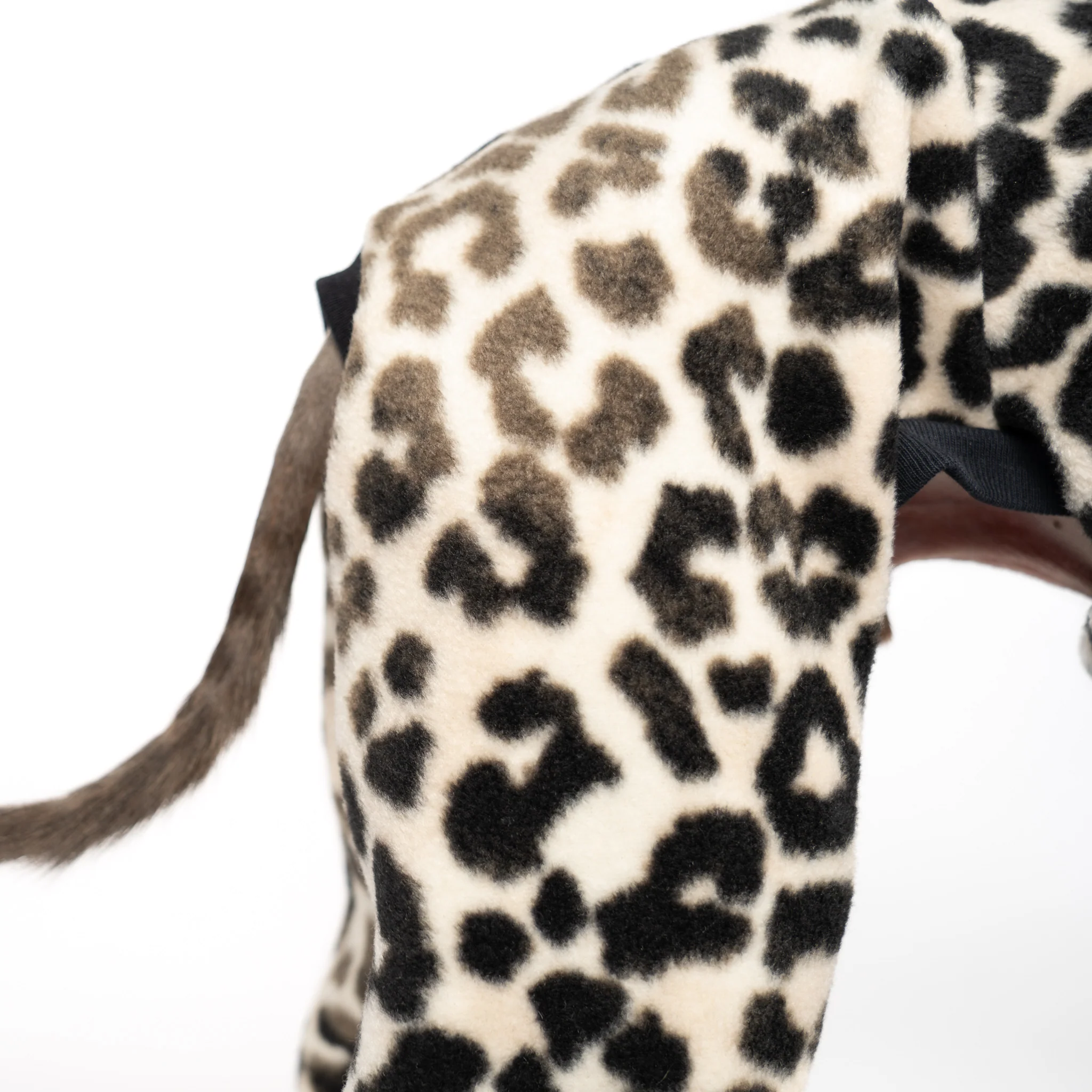 OVERALL Iggy Leo - Image 6