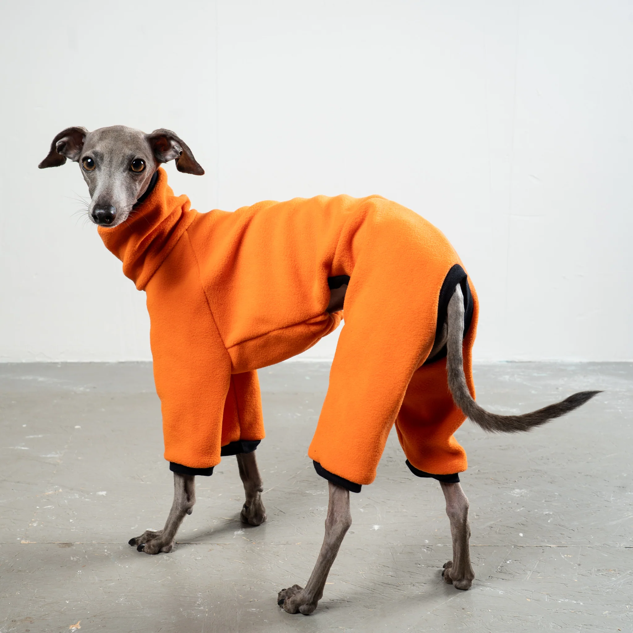OVERALL Iggy Orange - Image 3