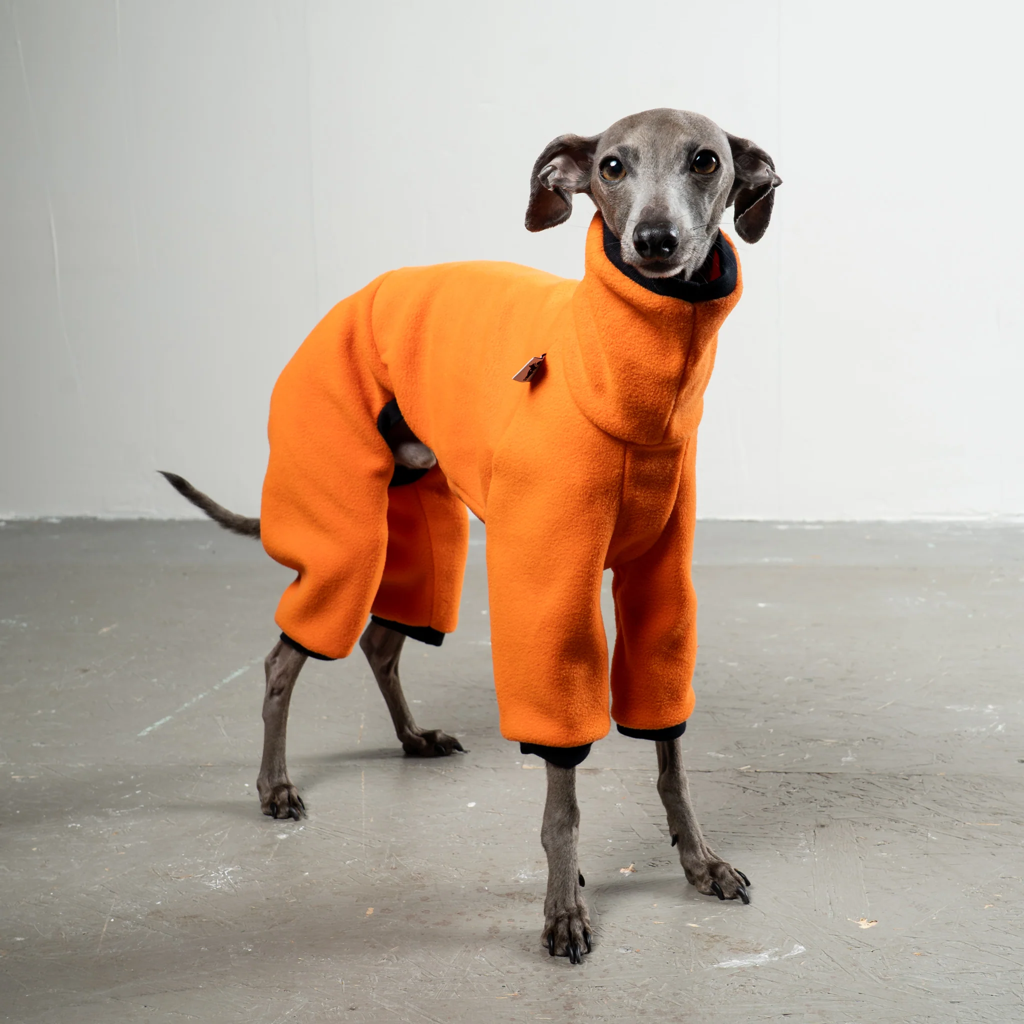 OVERALL Iggy Orange - Image 4