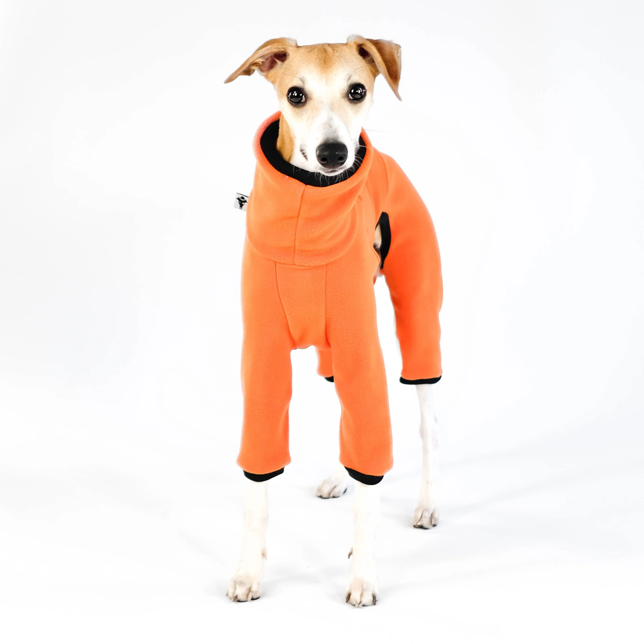OVERALL Windhund Orange - Image 5