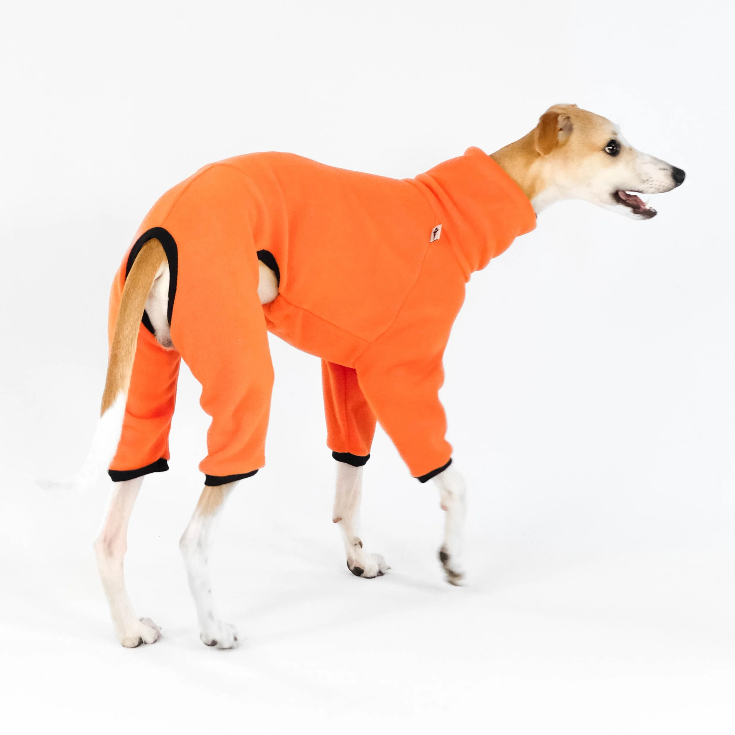 OVERALL Windhund Orange - Image 6