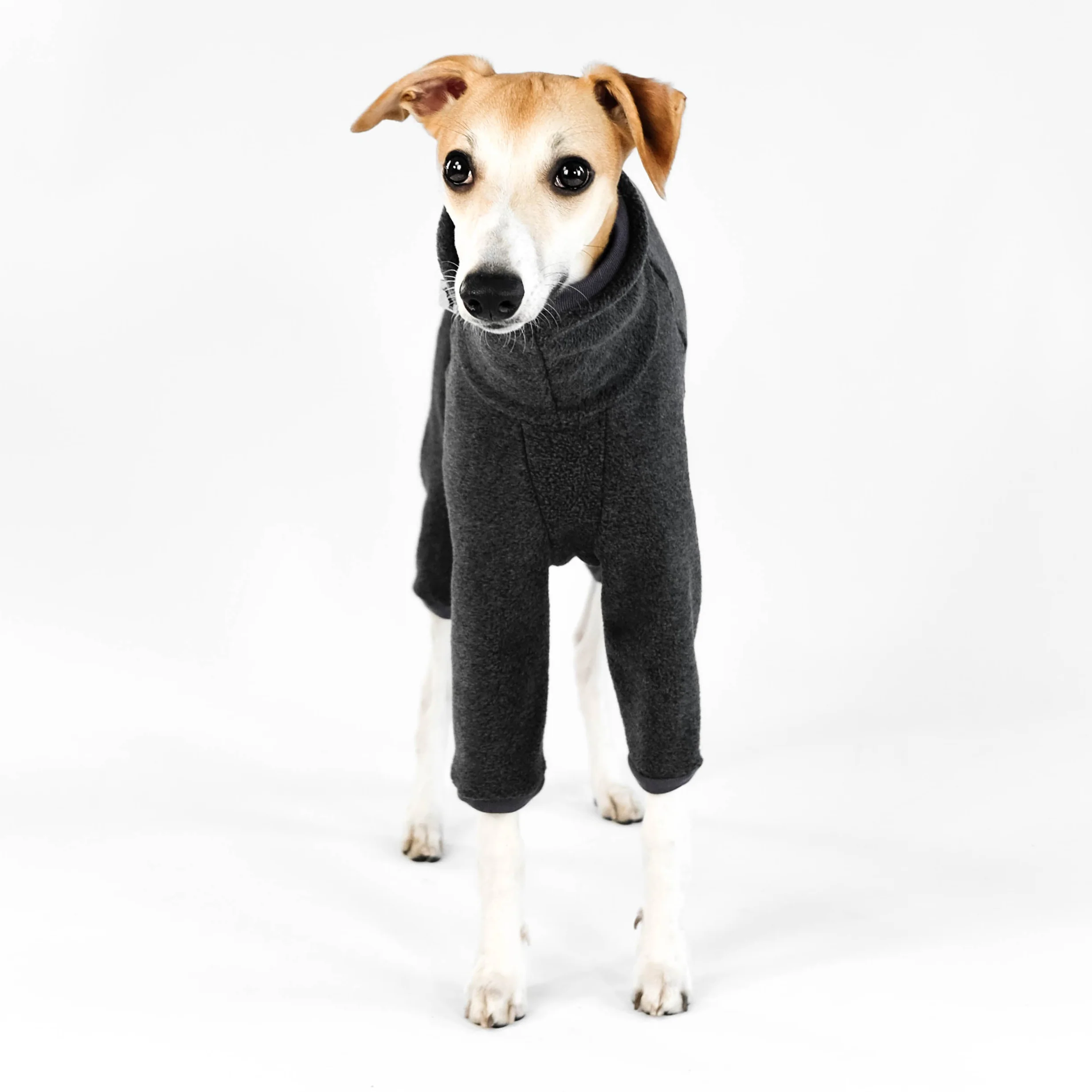 OVERALL Windhund Anthrazit - Image 4